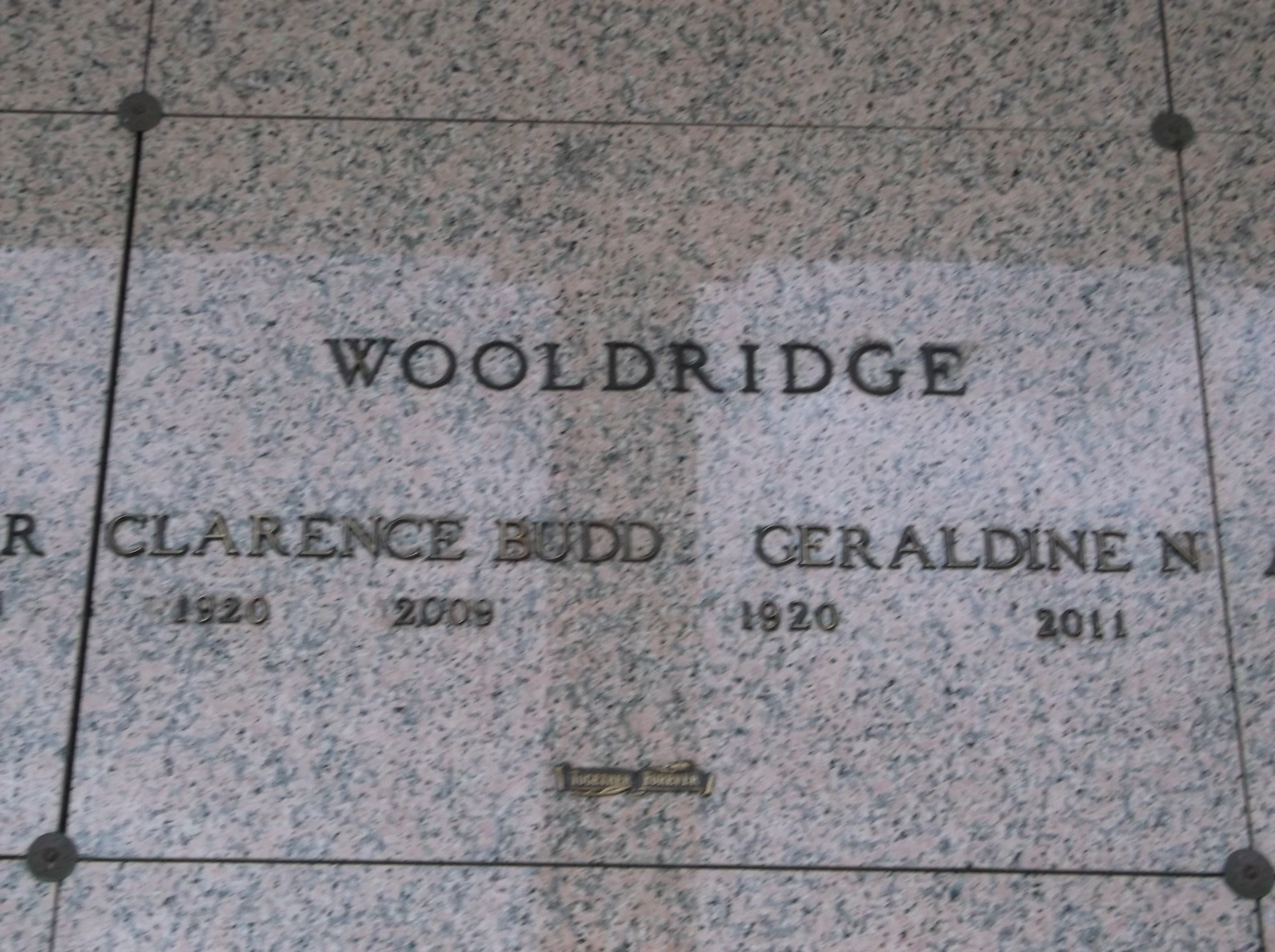 Clarence Budd Wooldridge