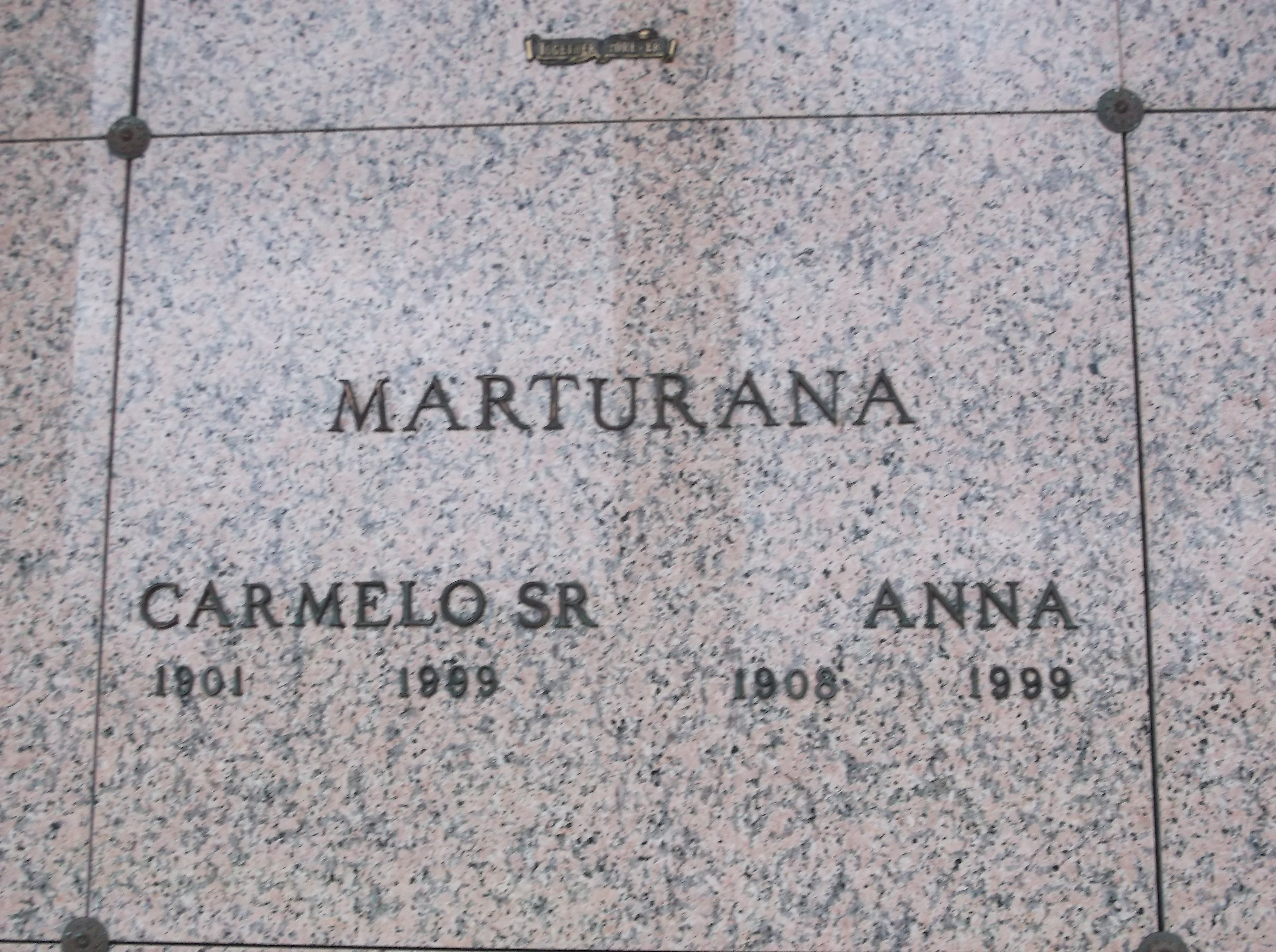 Anna Marturana
