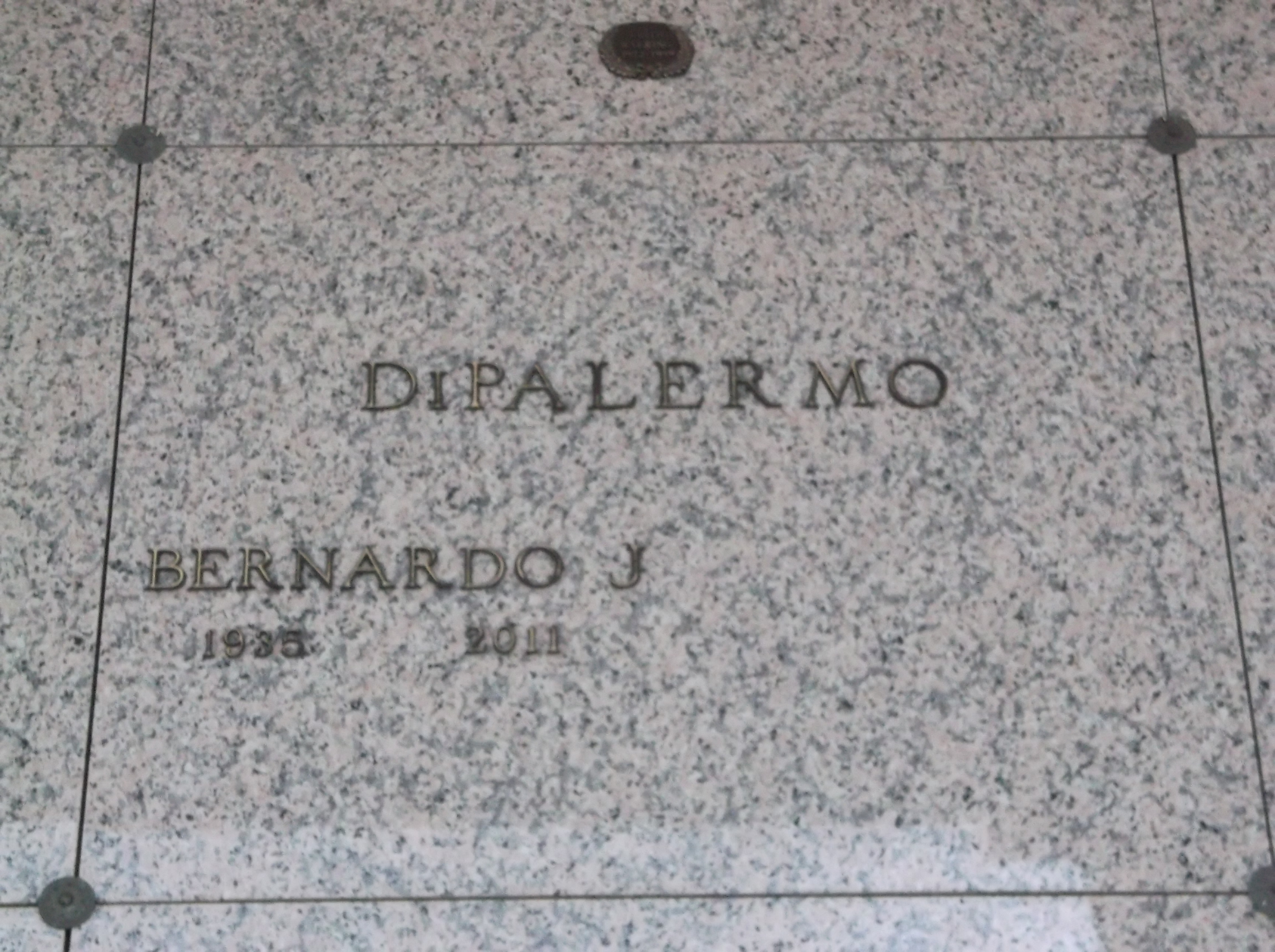Bernardo J DiPalermo
