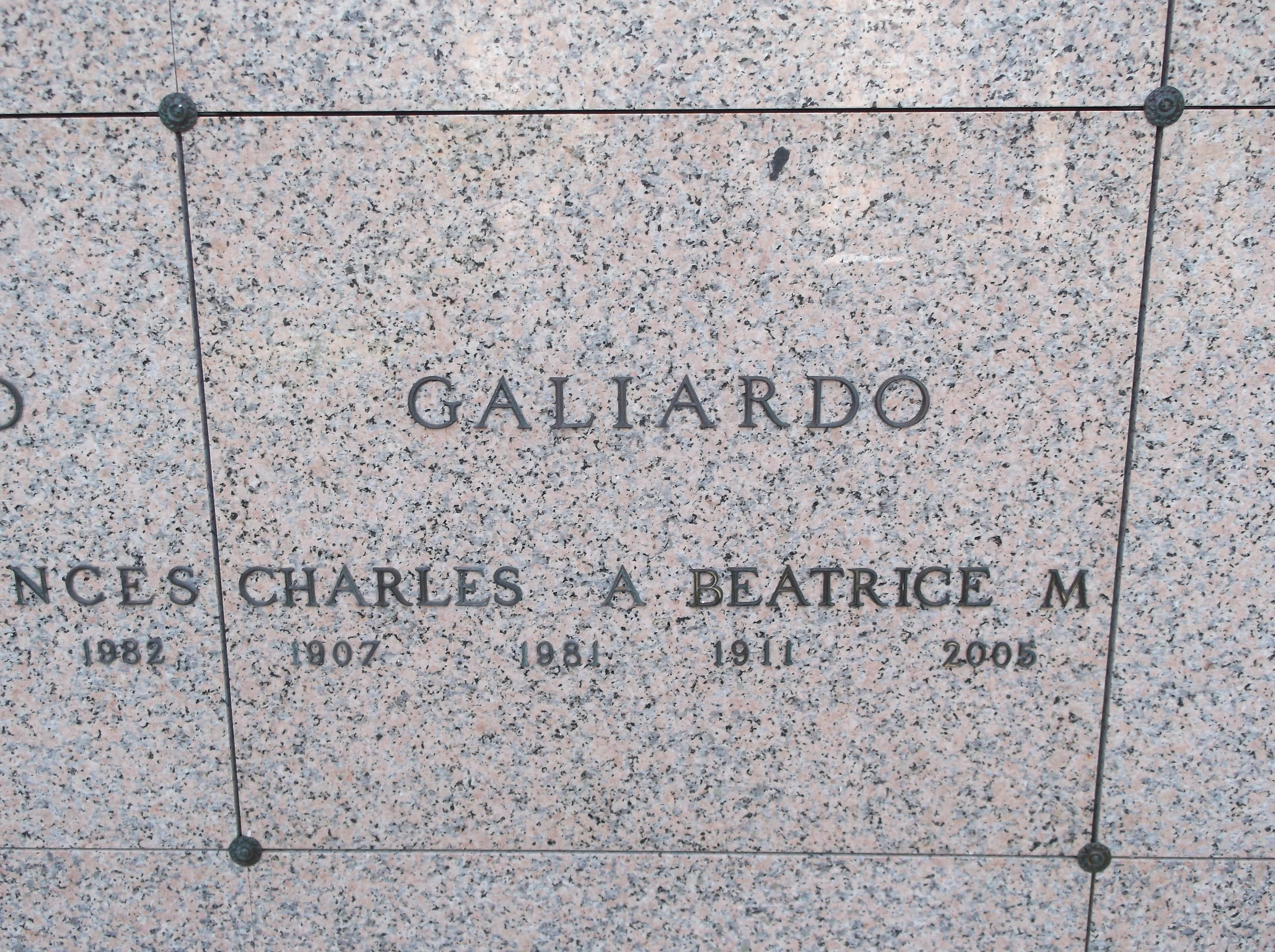 Charles A Galiardo