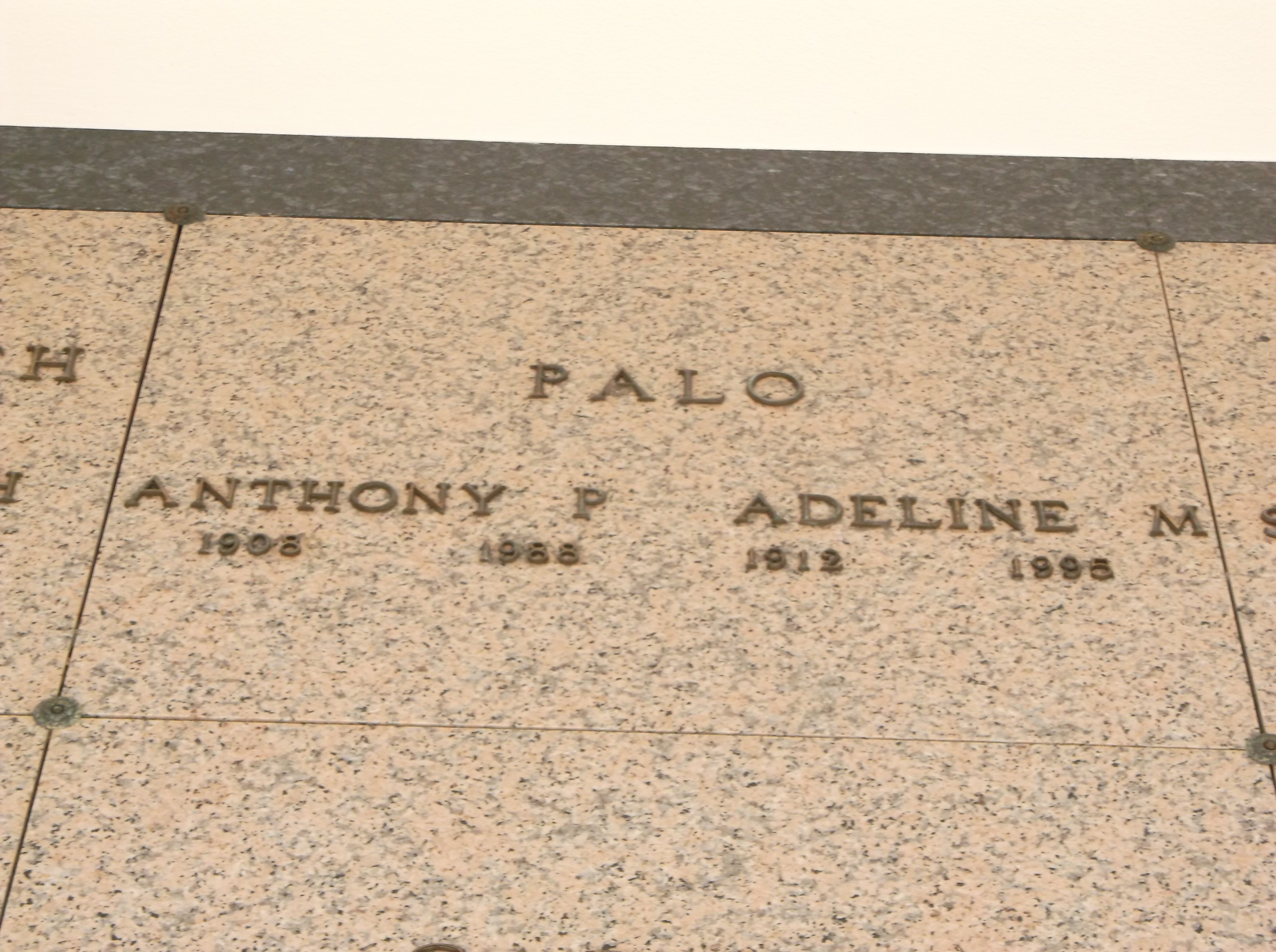 Anthony Palo