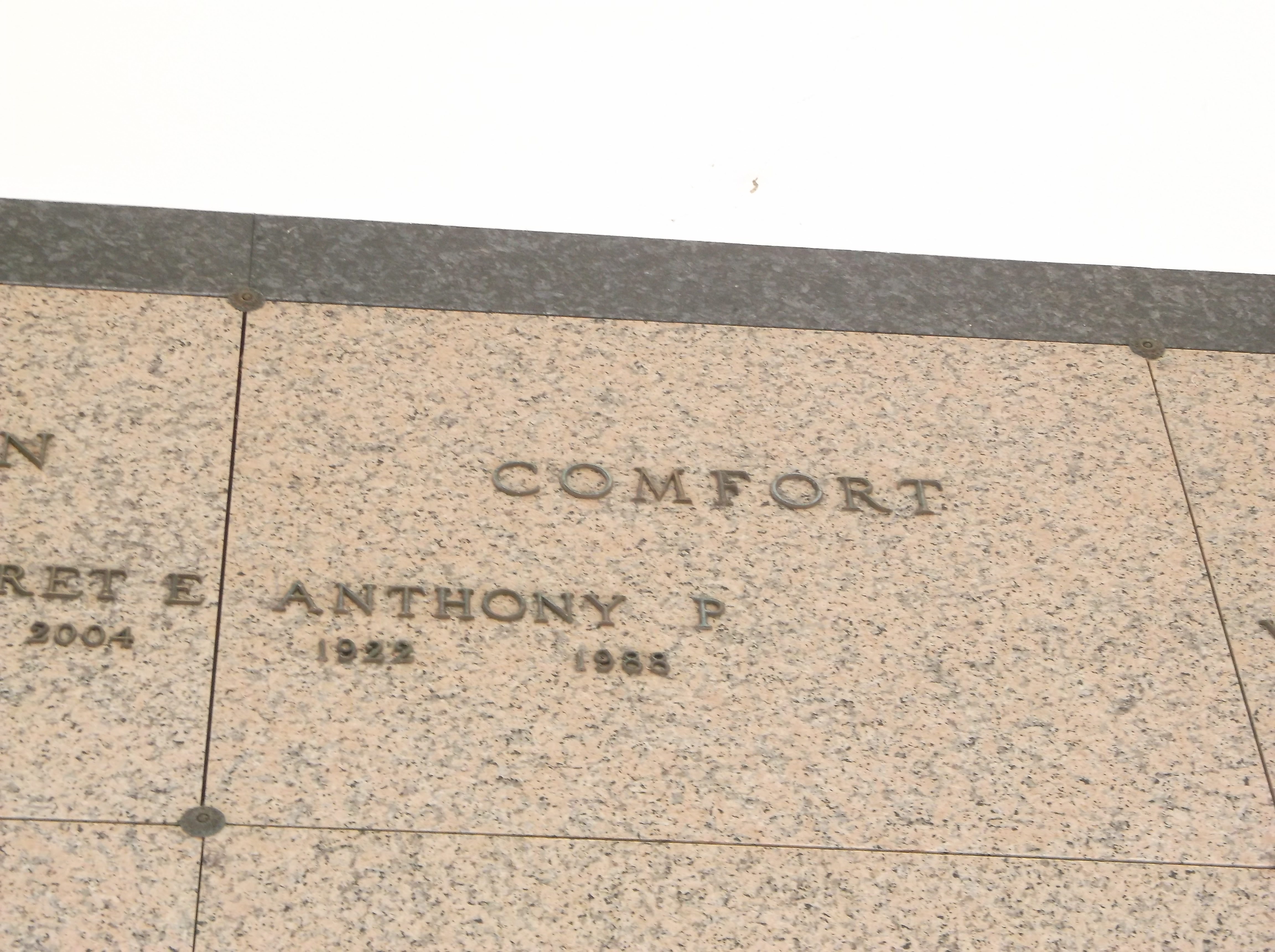 Anthony P Comfort