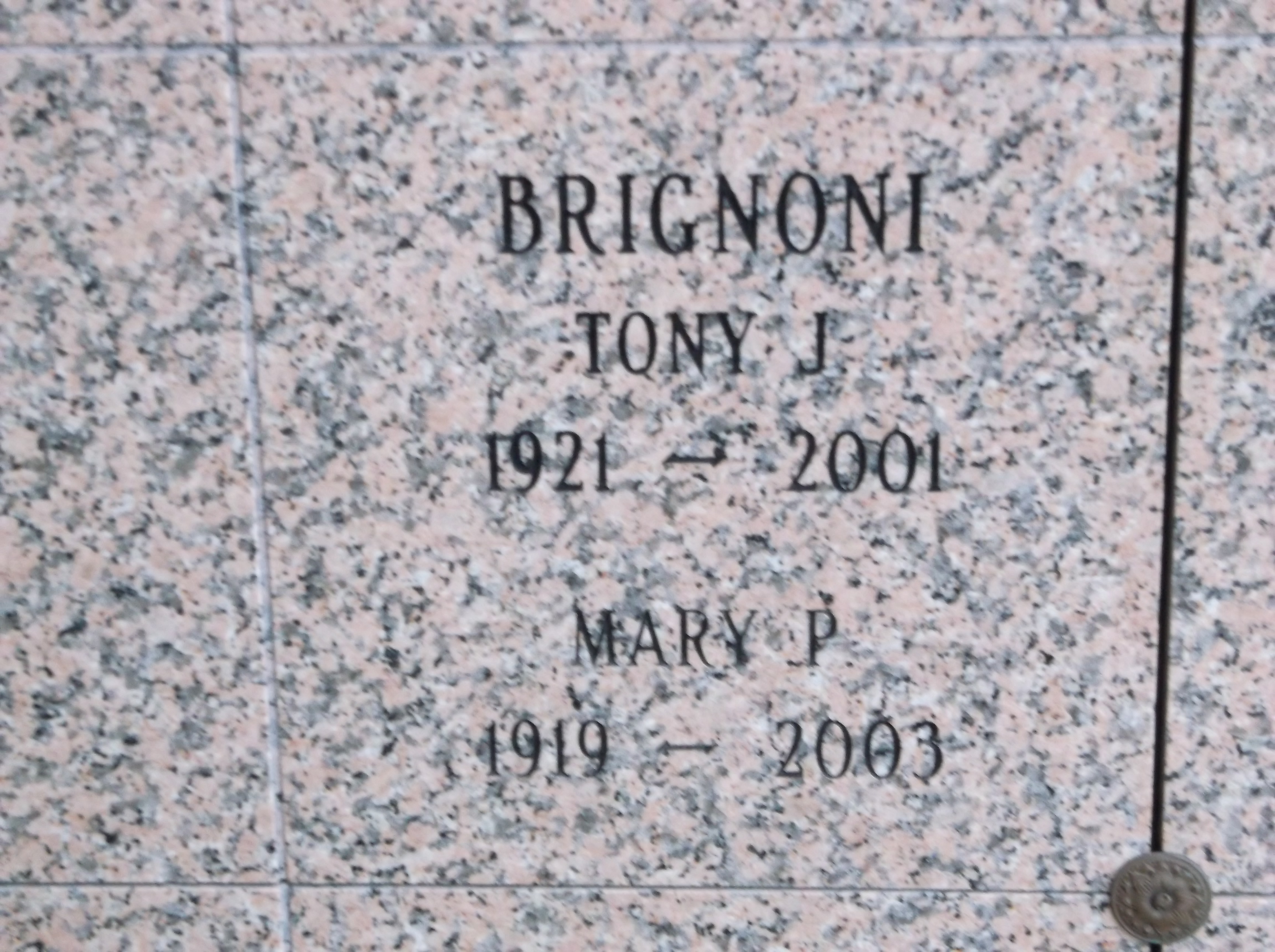 Tony J Brignoni