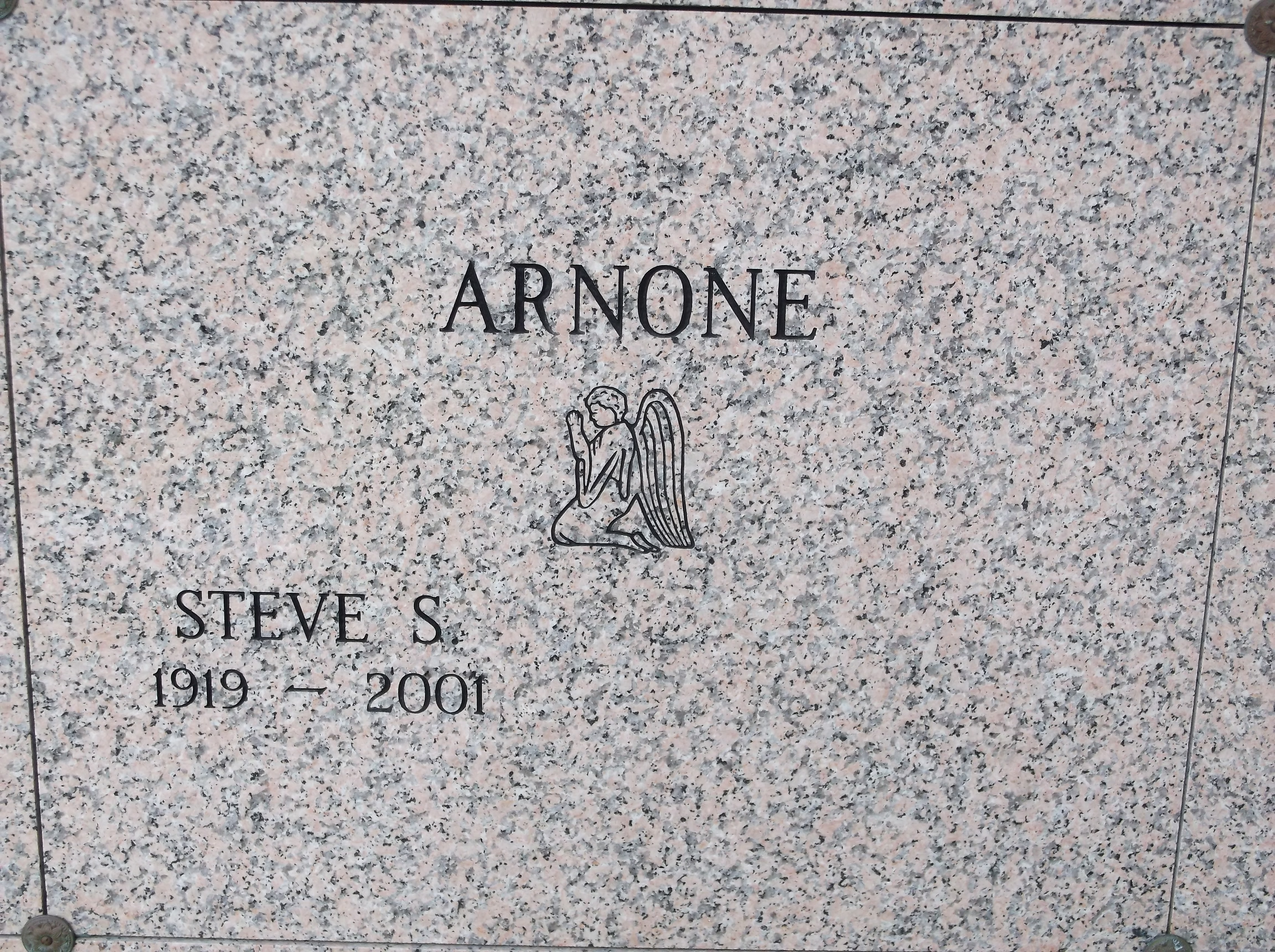 Steve S Arnone