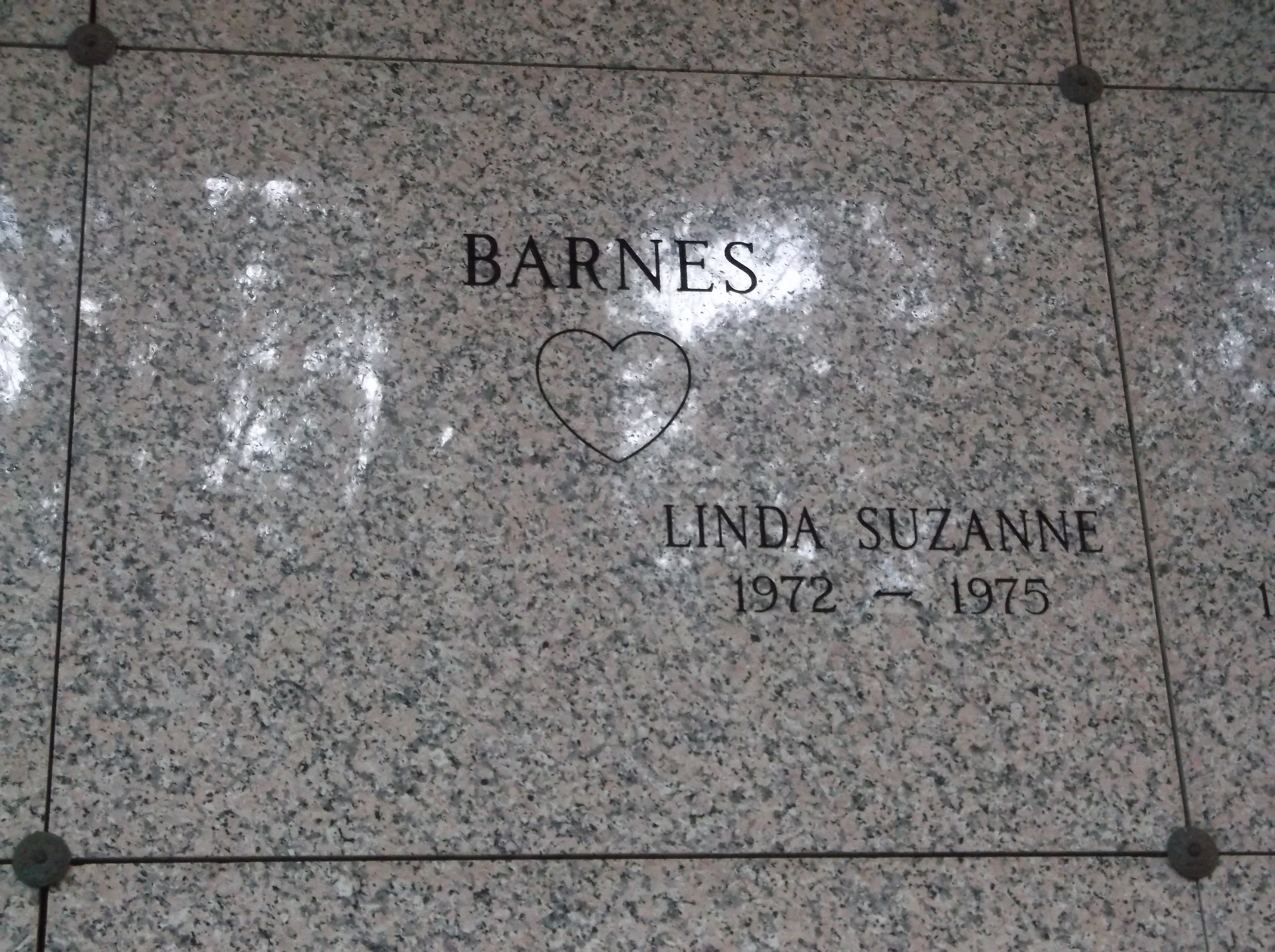 Linda Suzanne Barnes