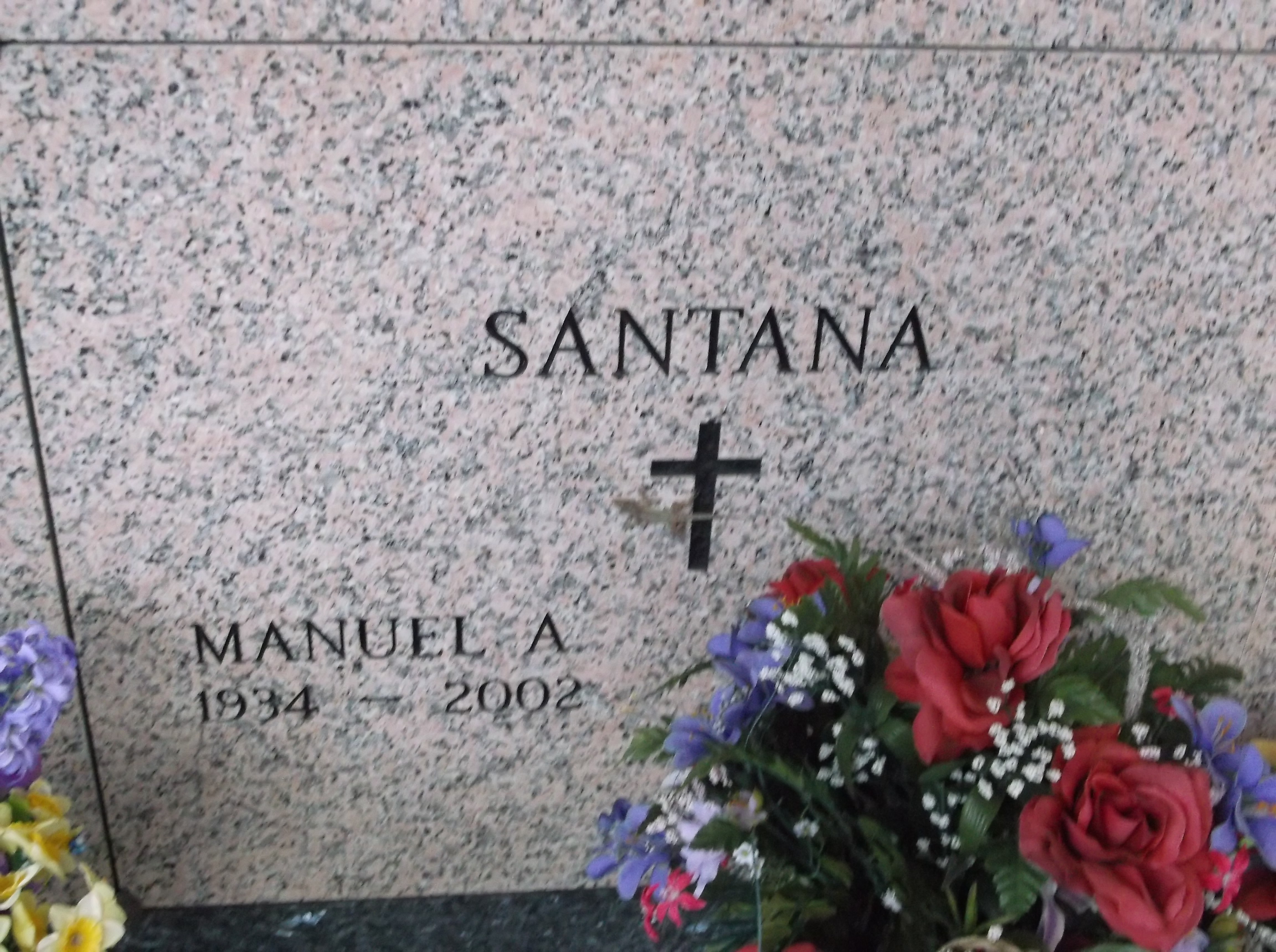 Manuel A Santana