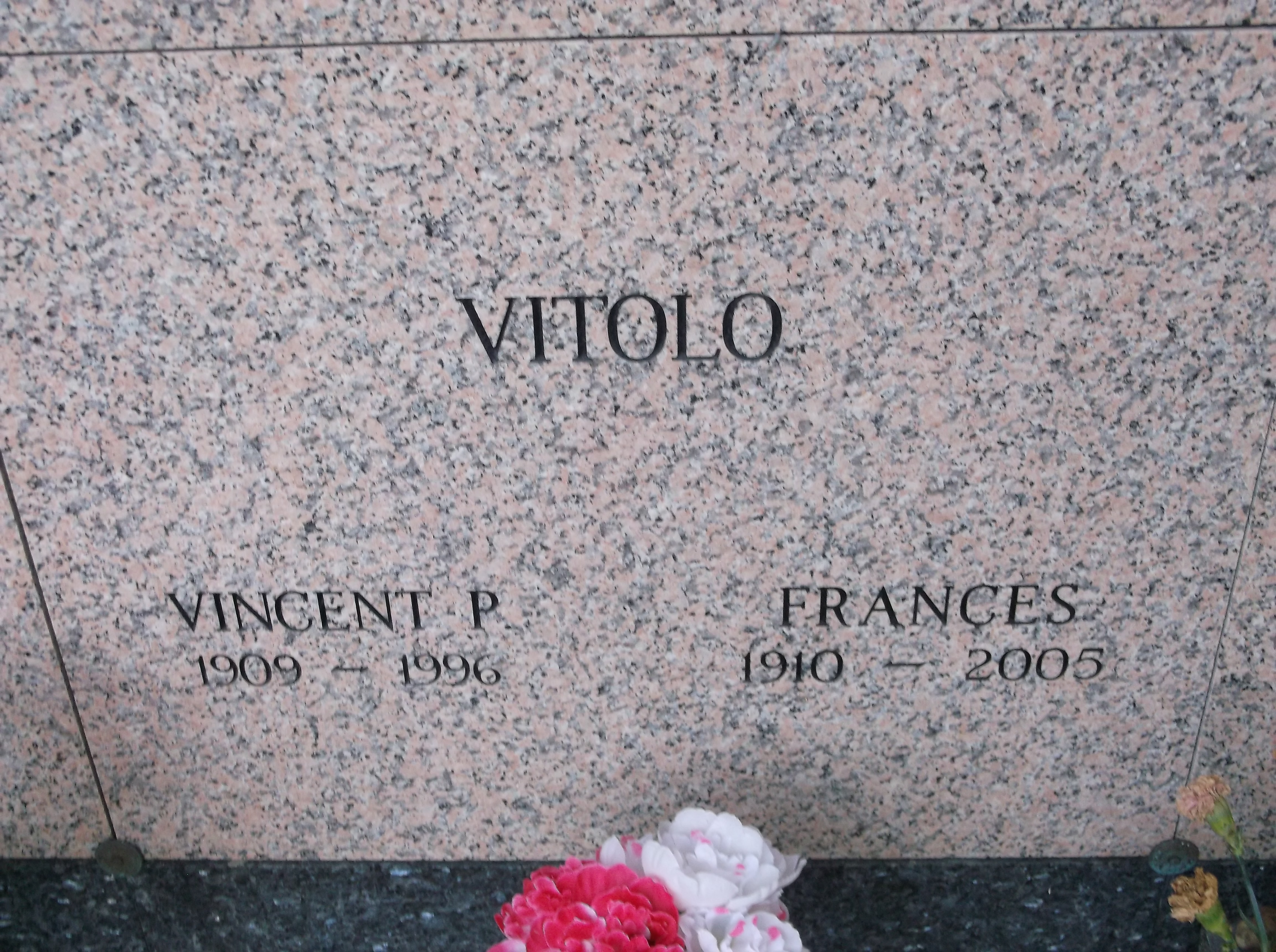 Vincent P Vitolo