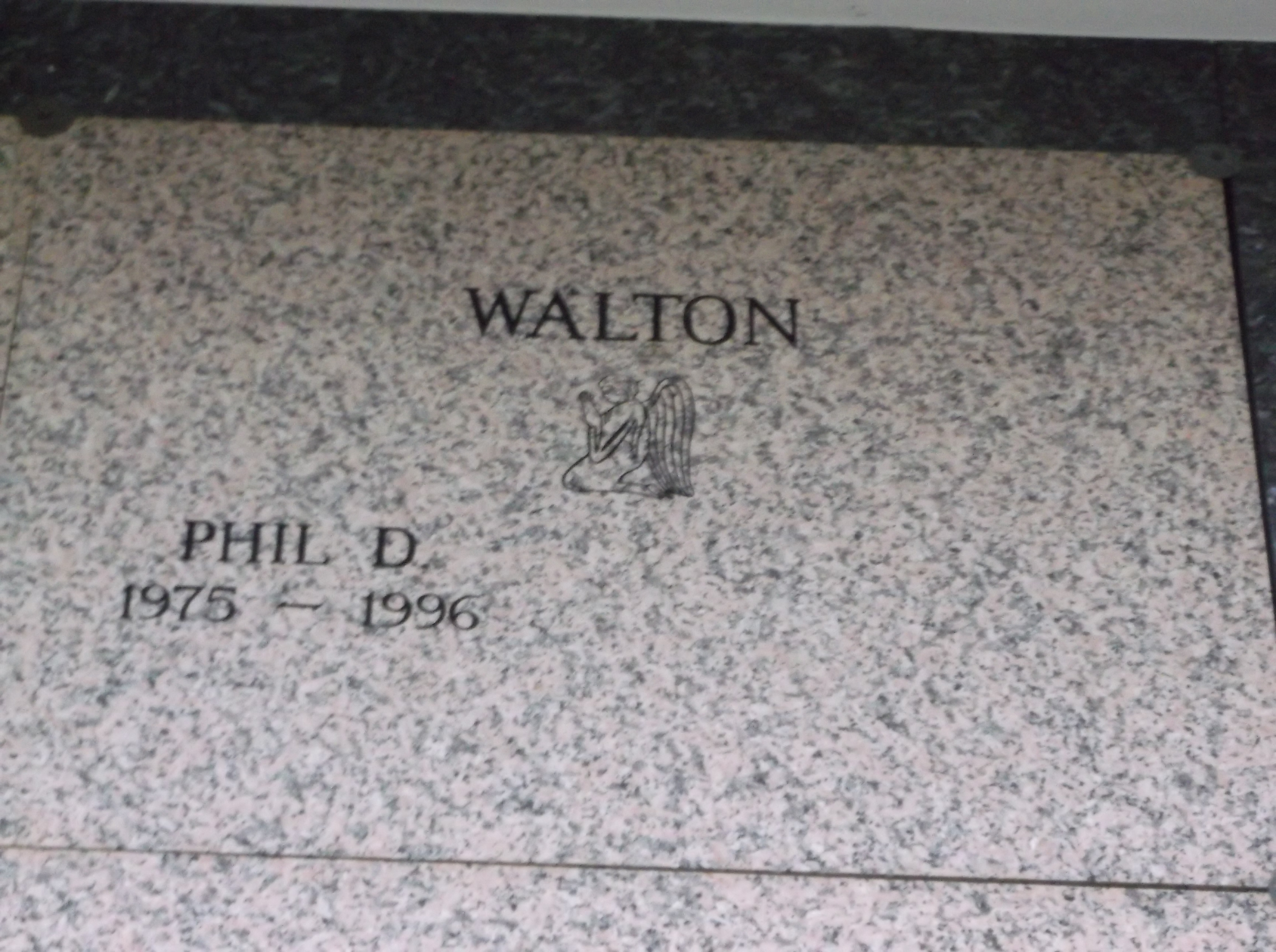 Phil D Walton