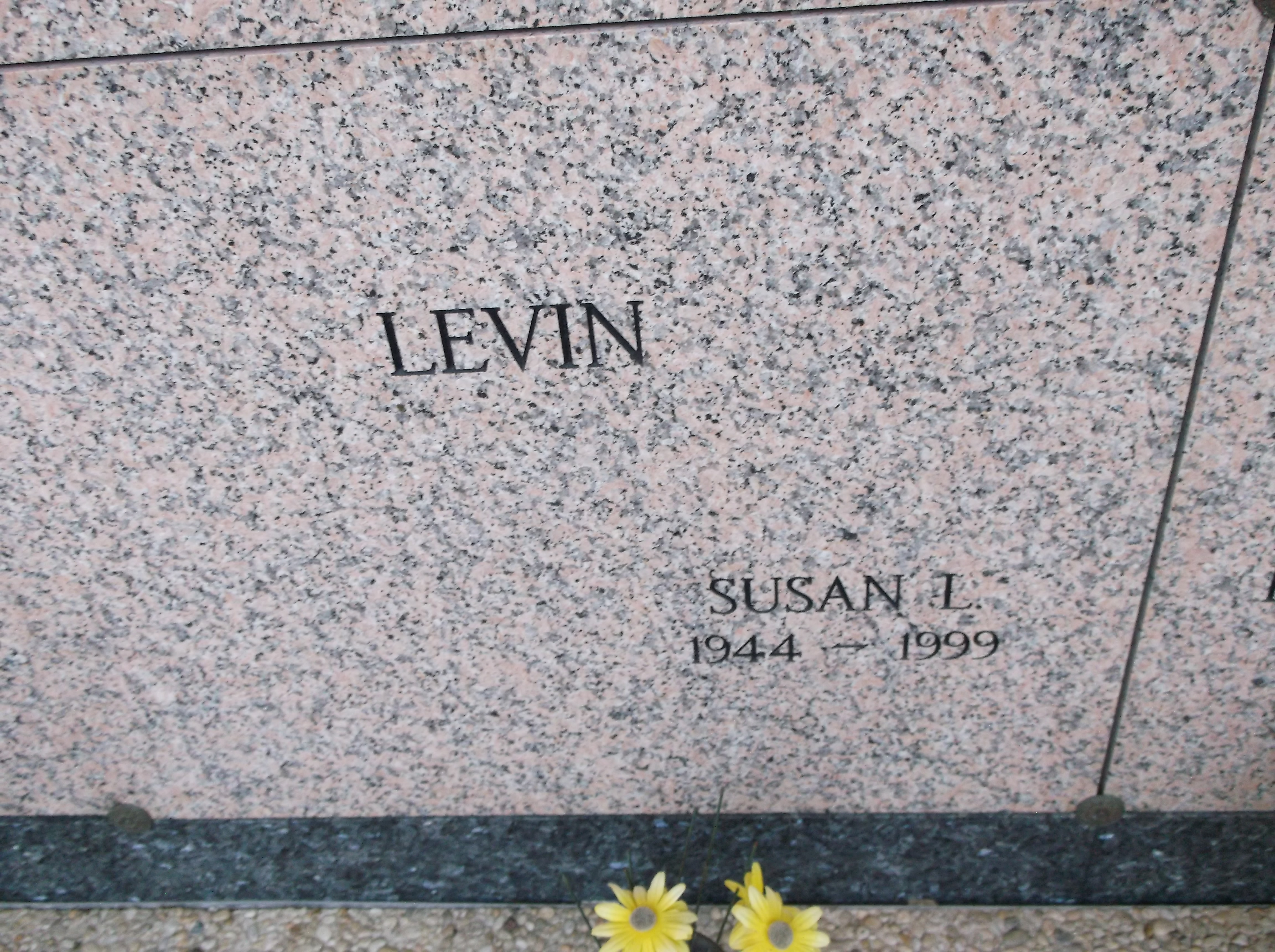 Susan L Levin