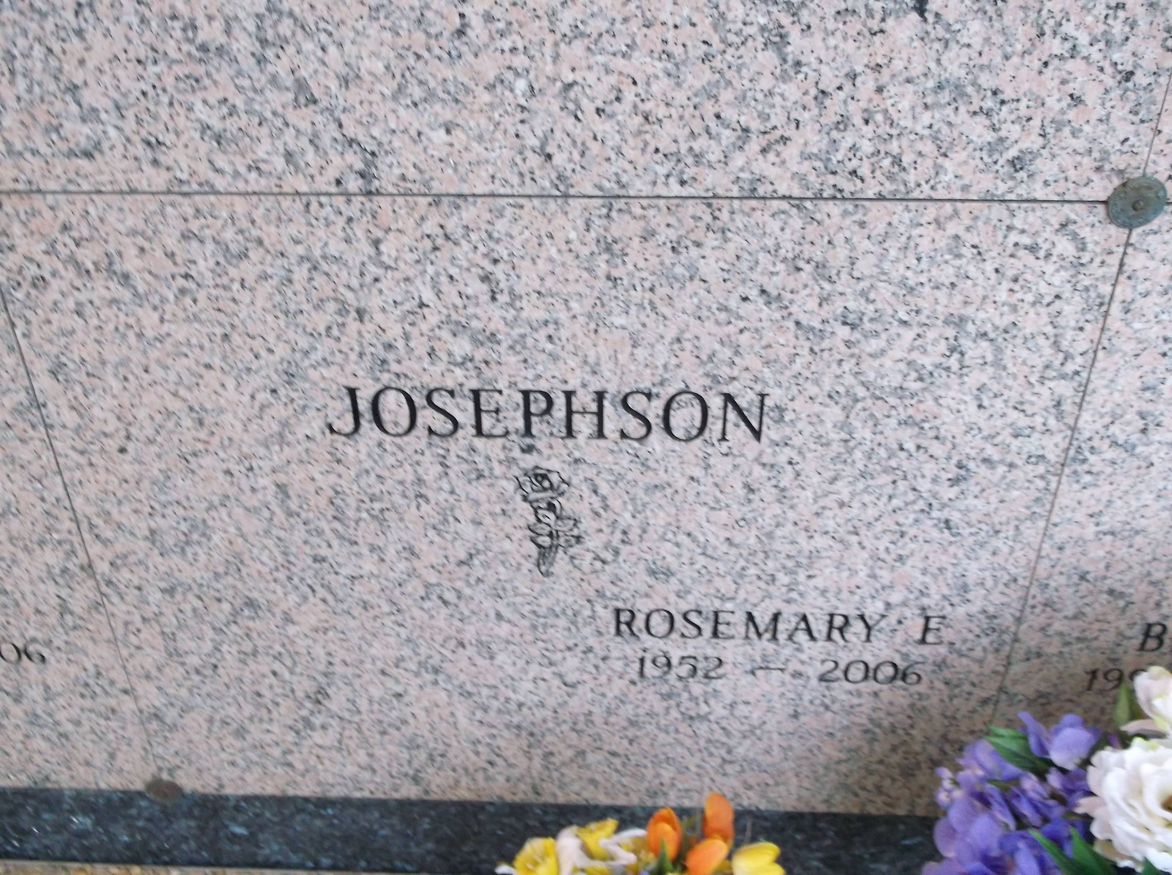 Rosemary E Josephson