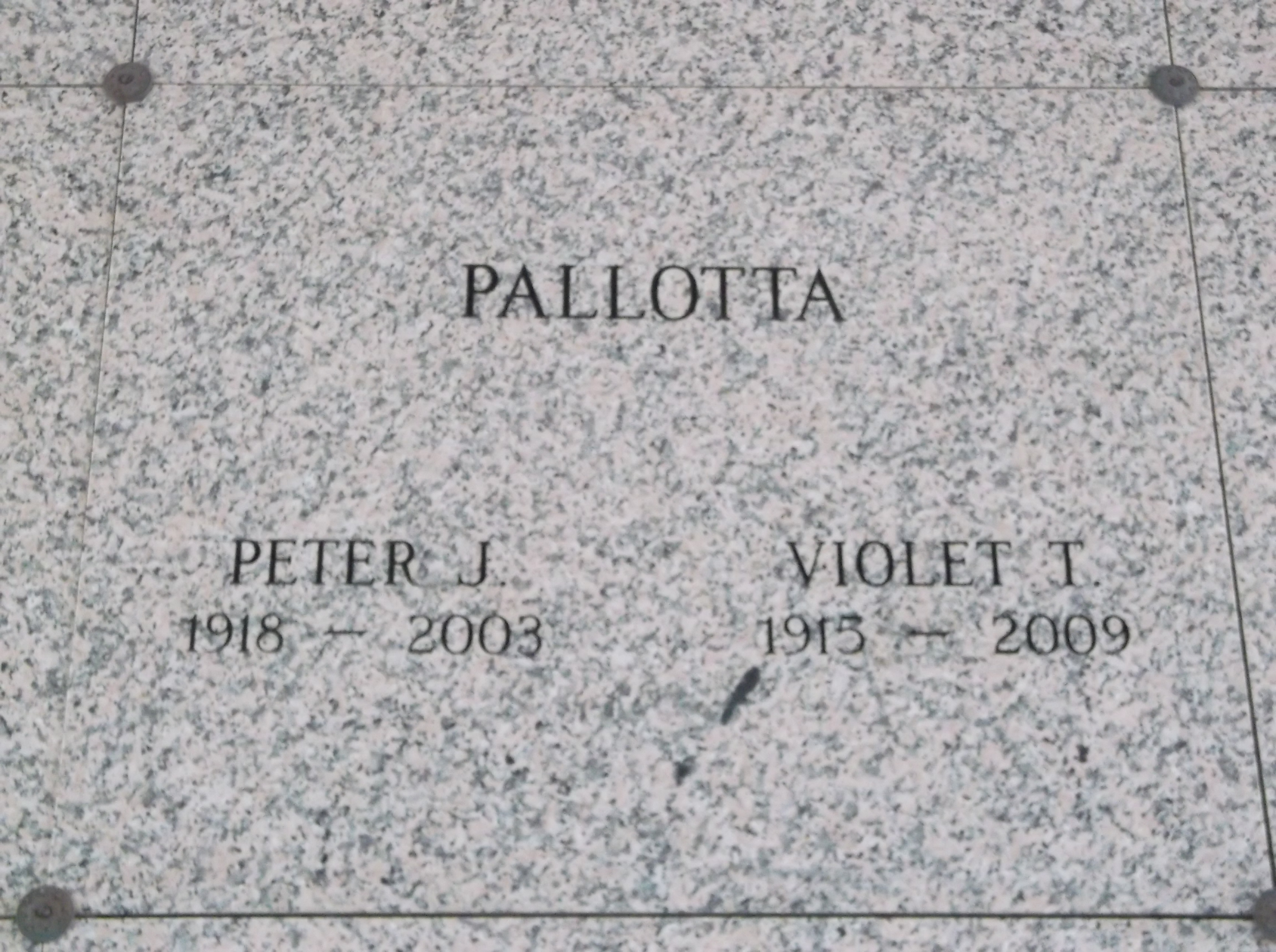 Violet T Pallotta