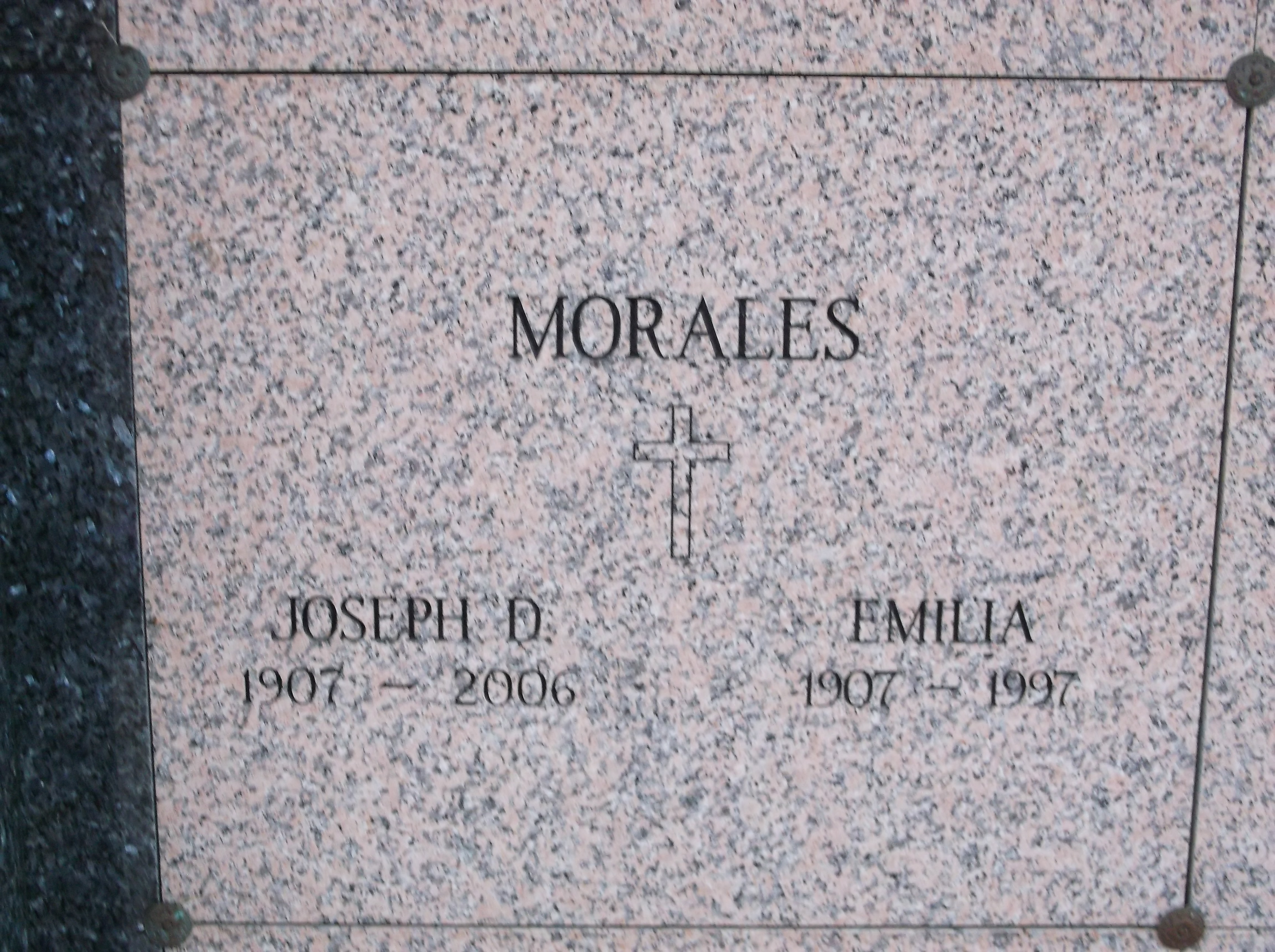Joseph D Morales