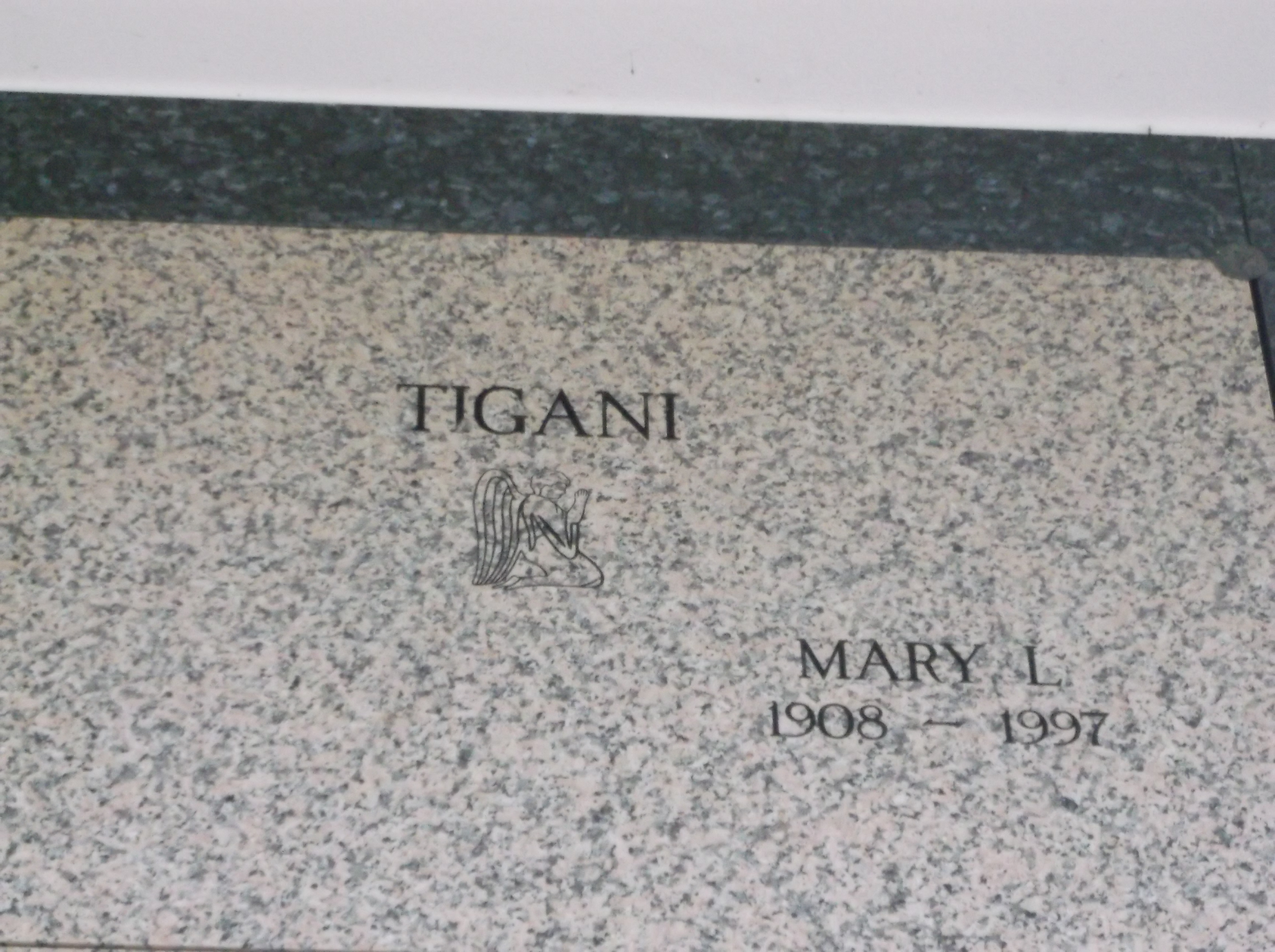 Mary L Tigani