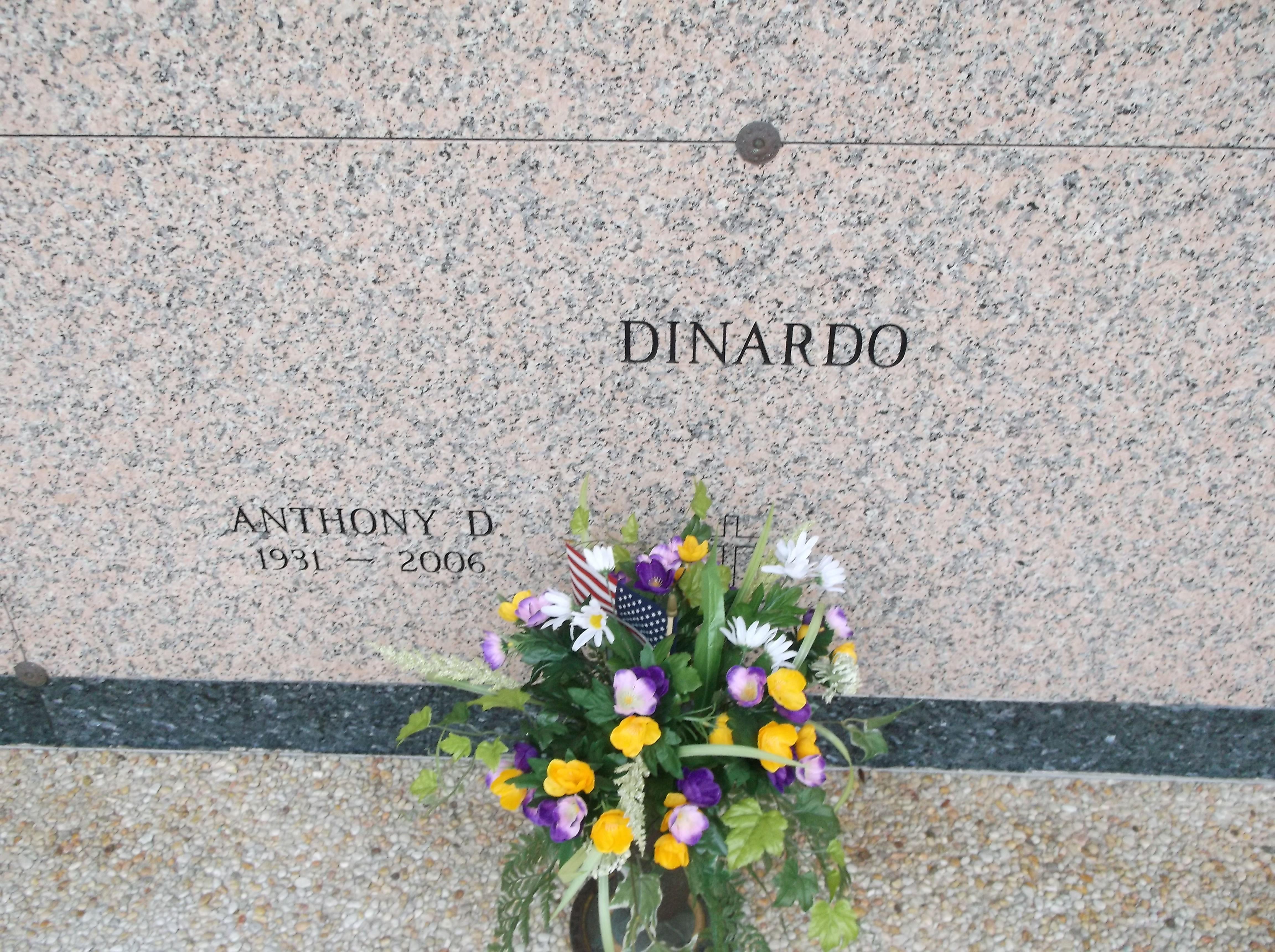 Anthony D Dinardo