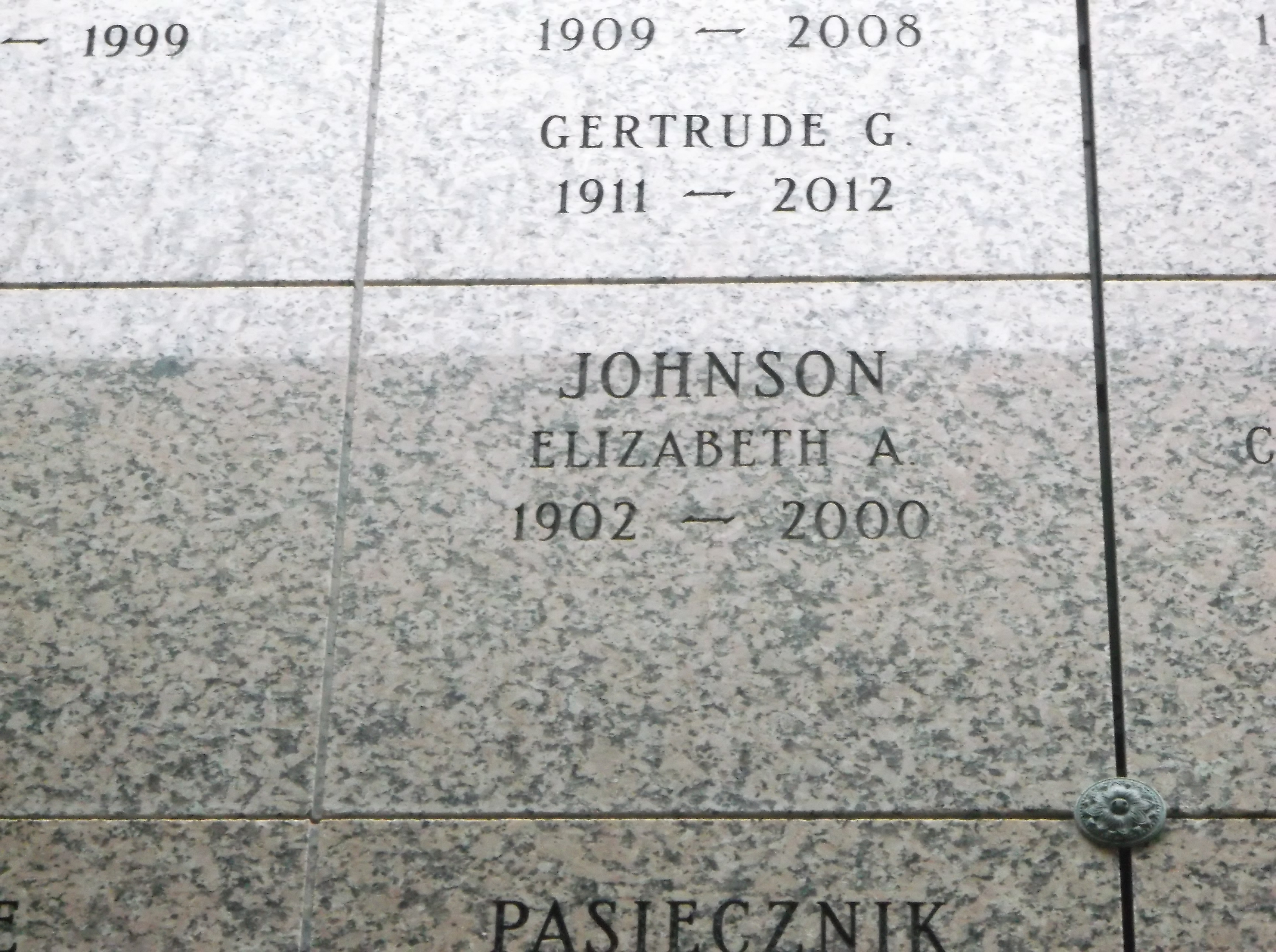Elizabeth A Johnson