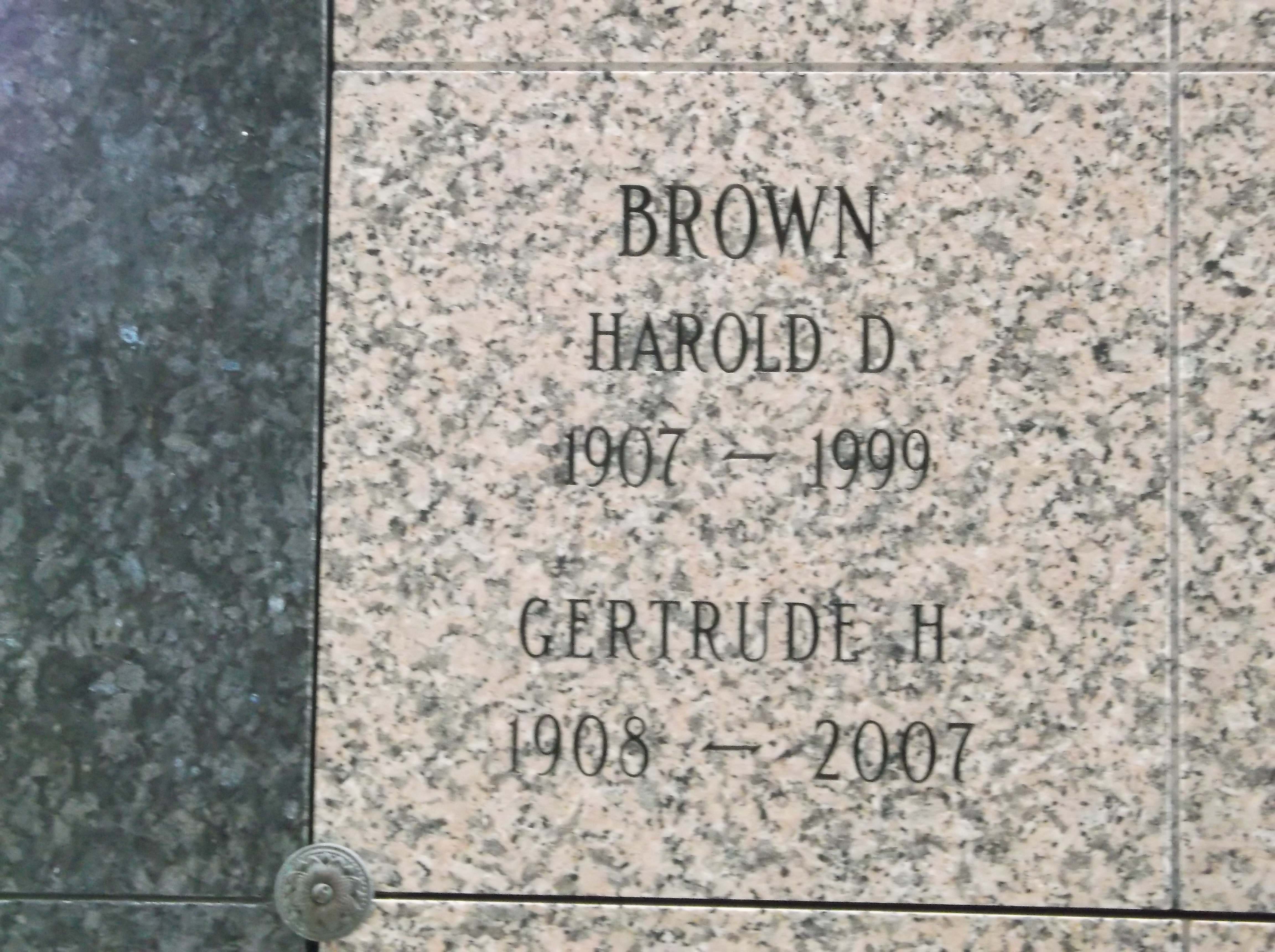 Harold D Brown