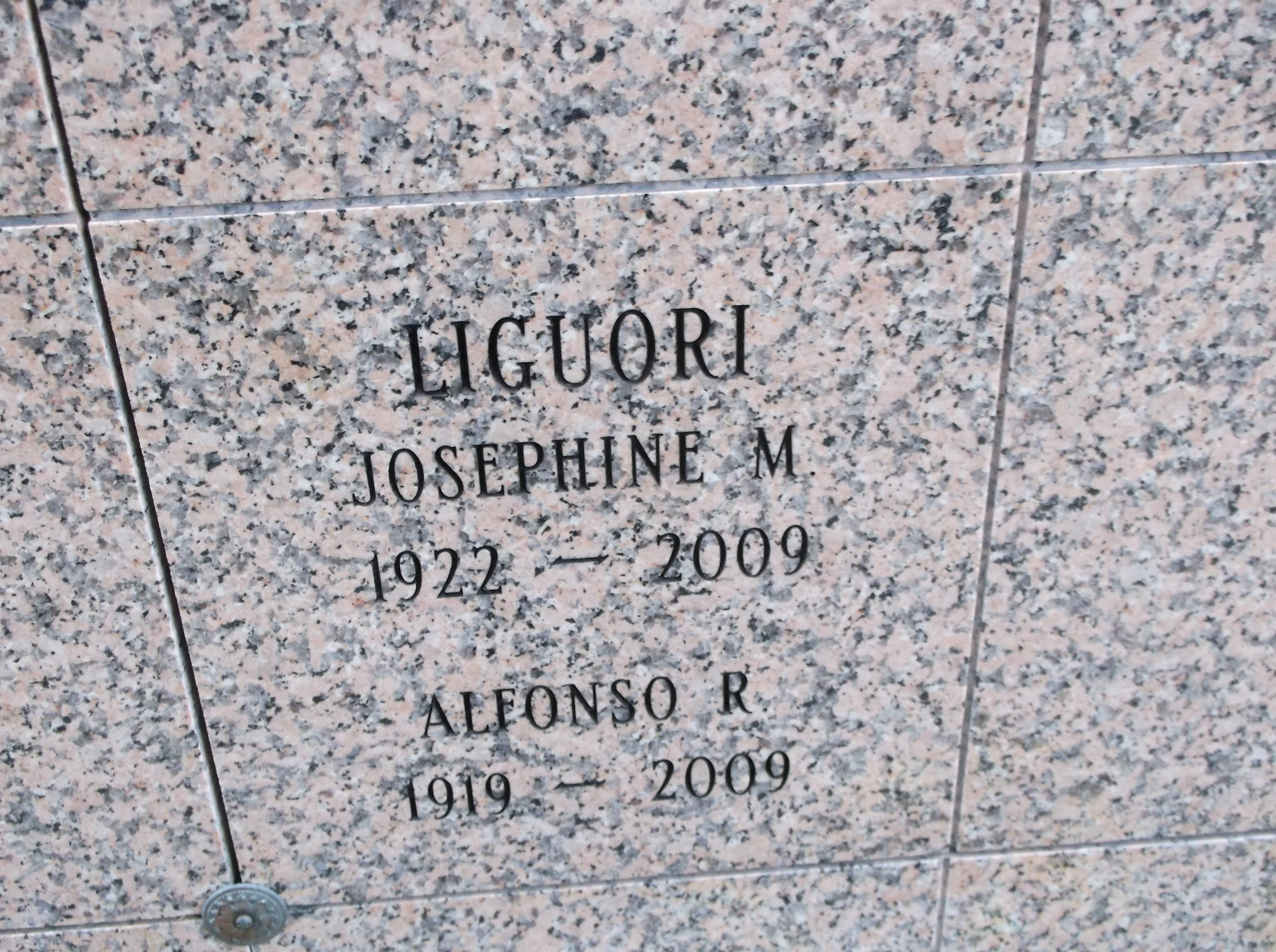 Josephine M Liguori