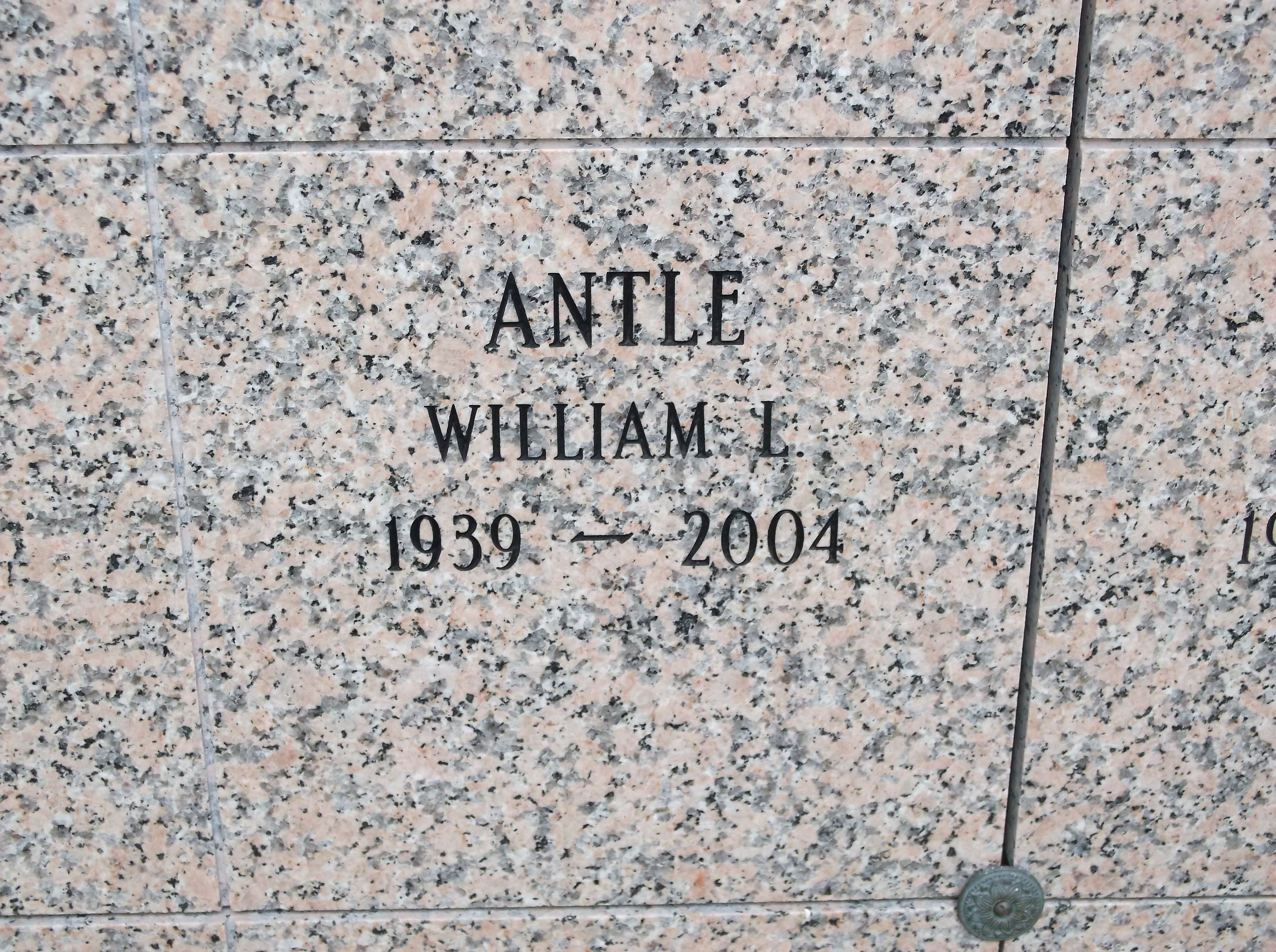 William L Antle