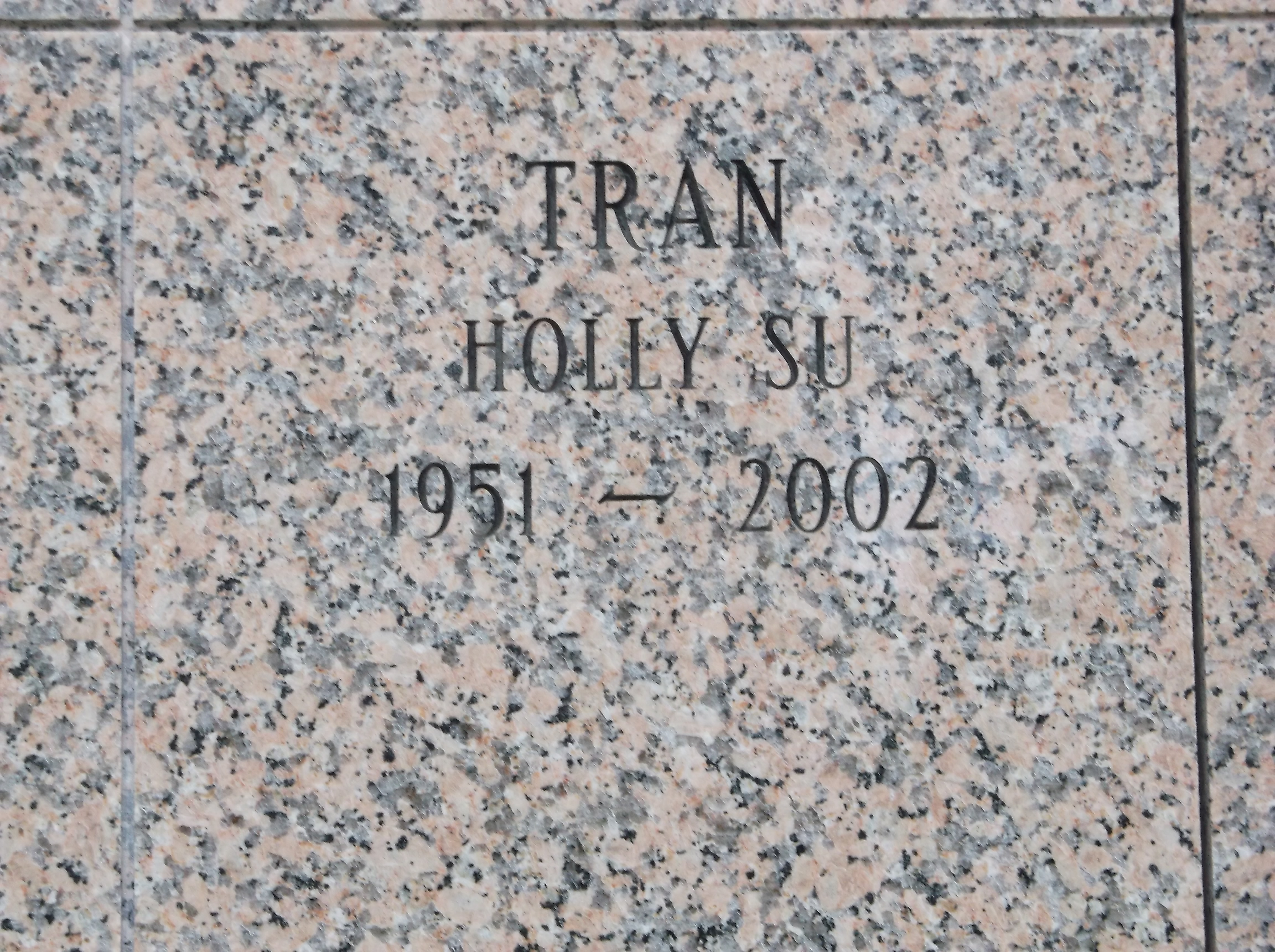 Holly Su Tran