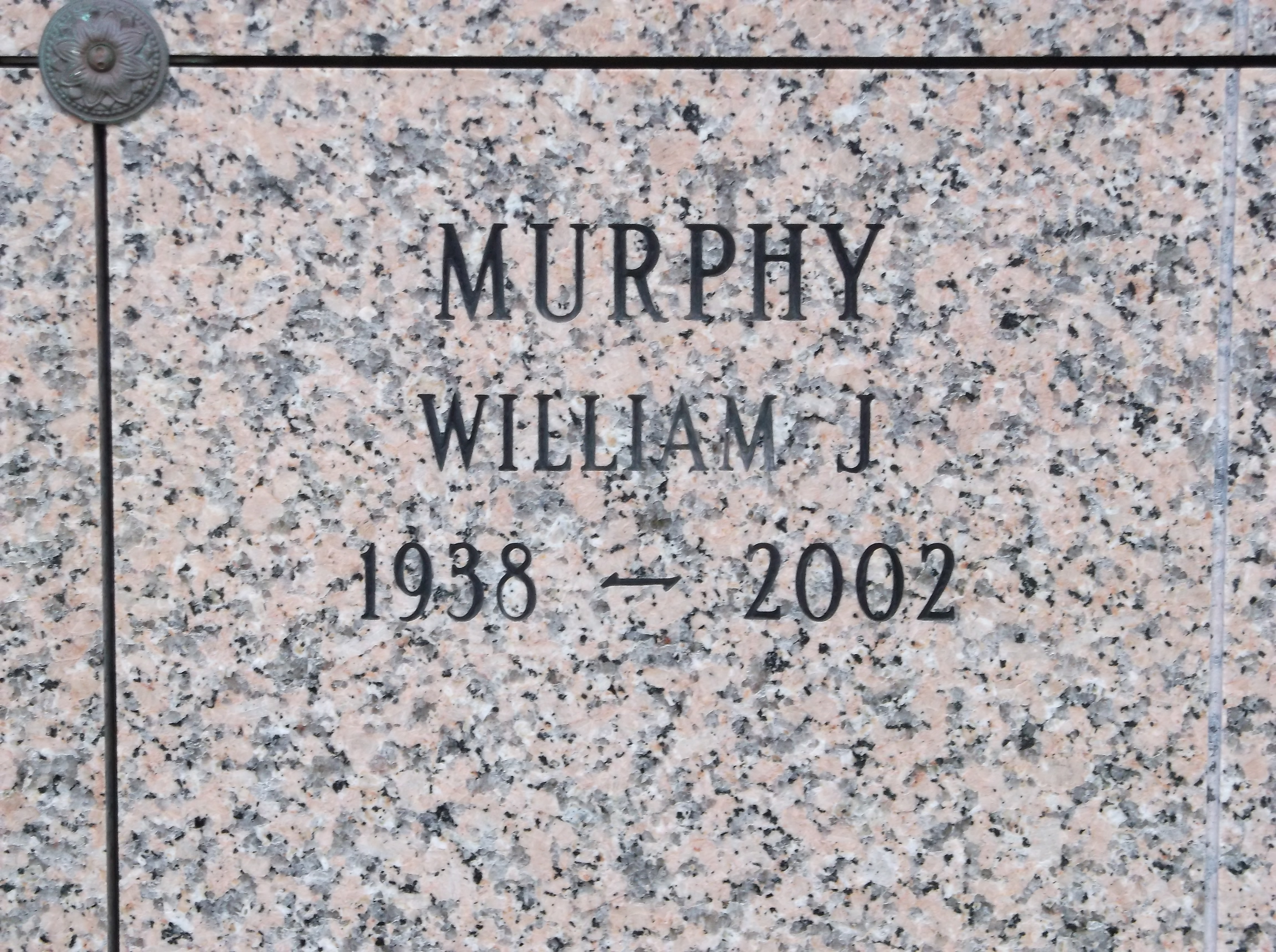 William J Murphy