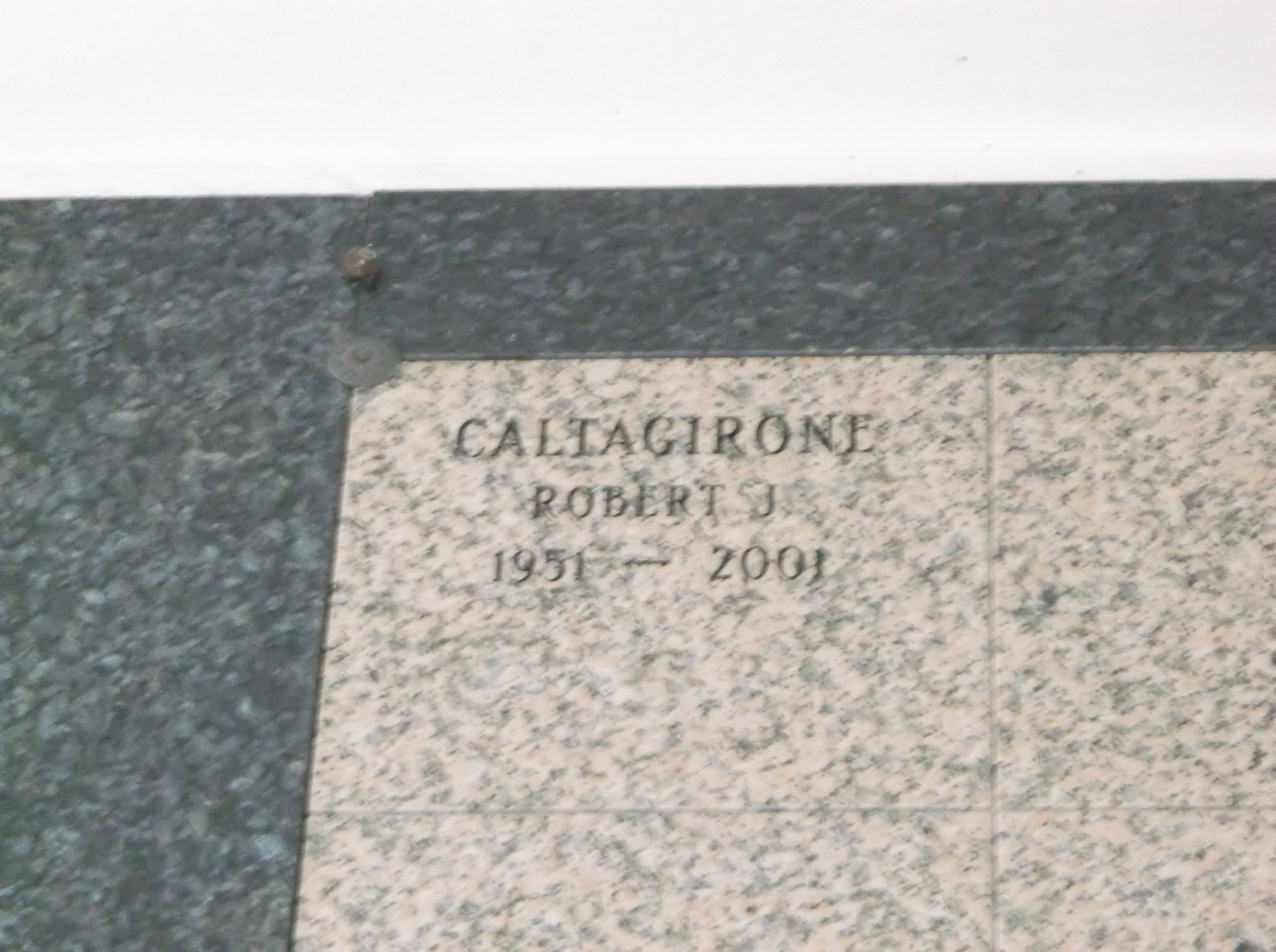 Robert J Caltagirone