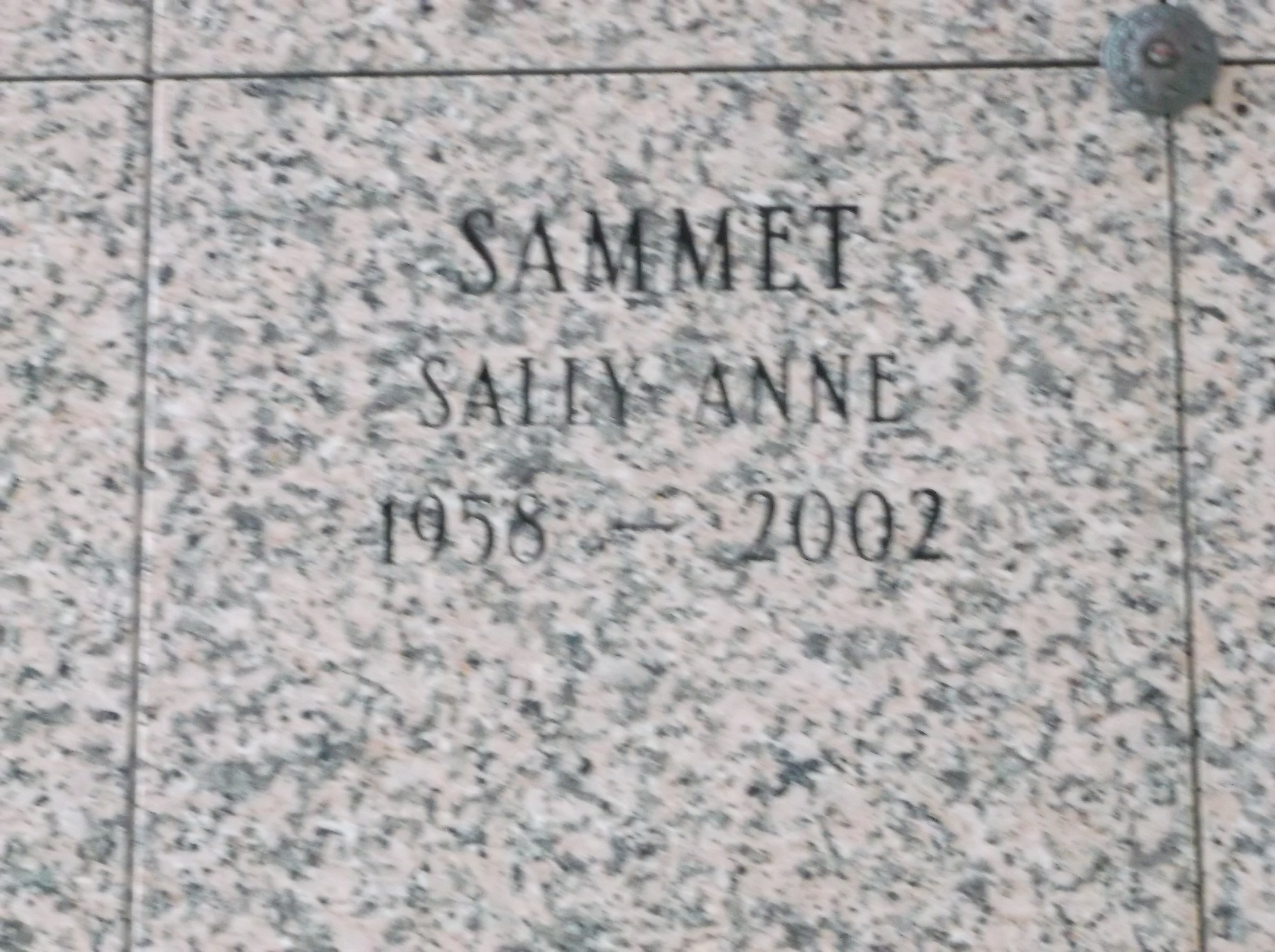 Sally Anne Sammet
