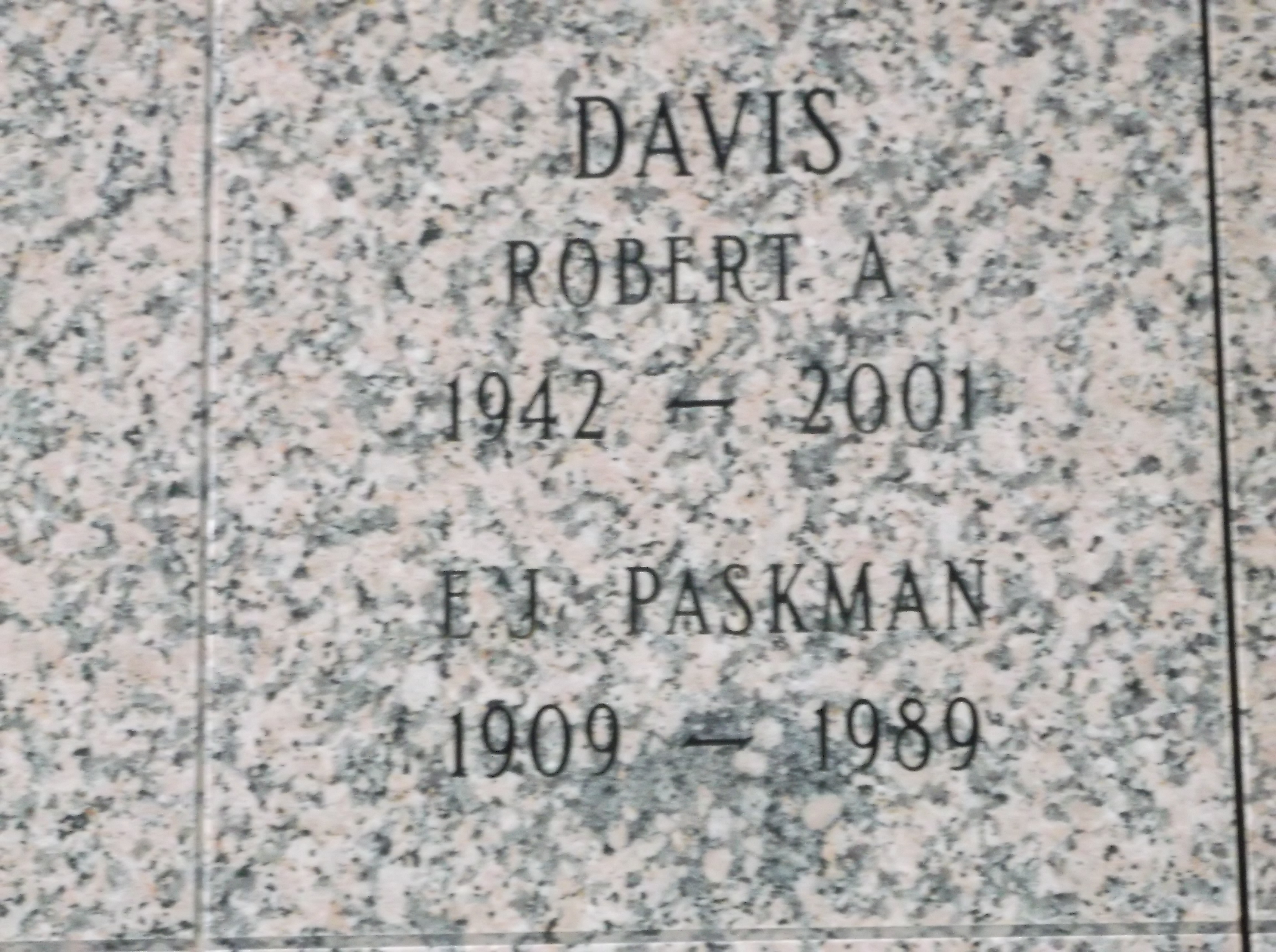 Robert A Davis