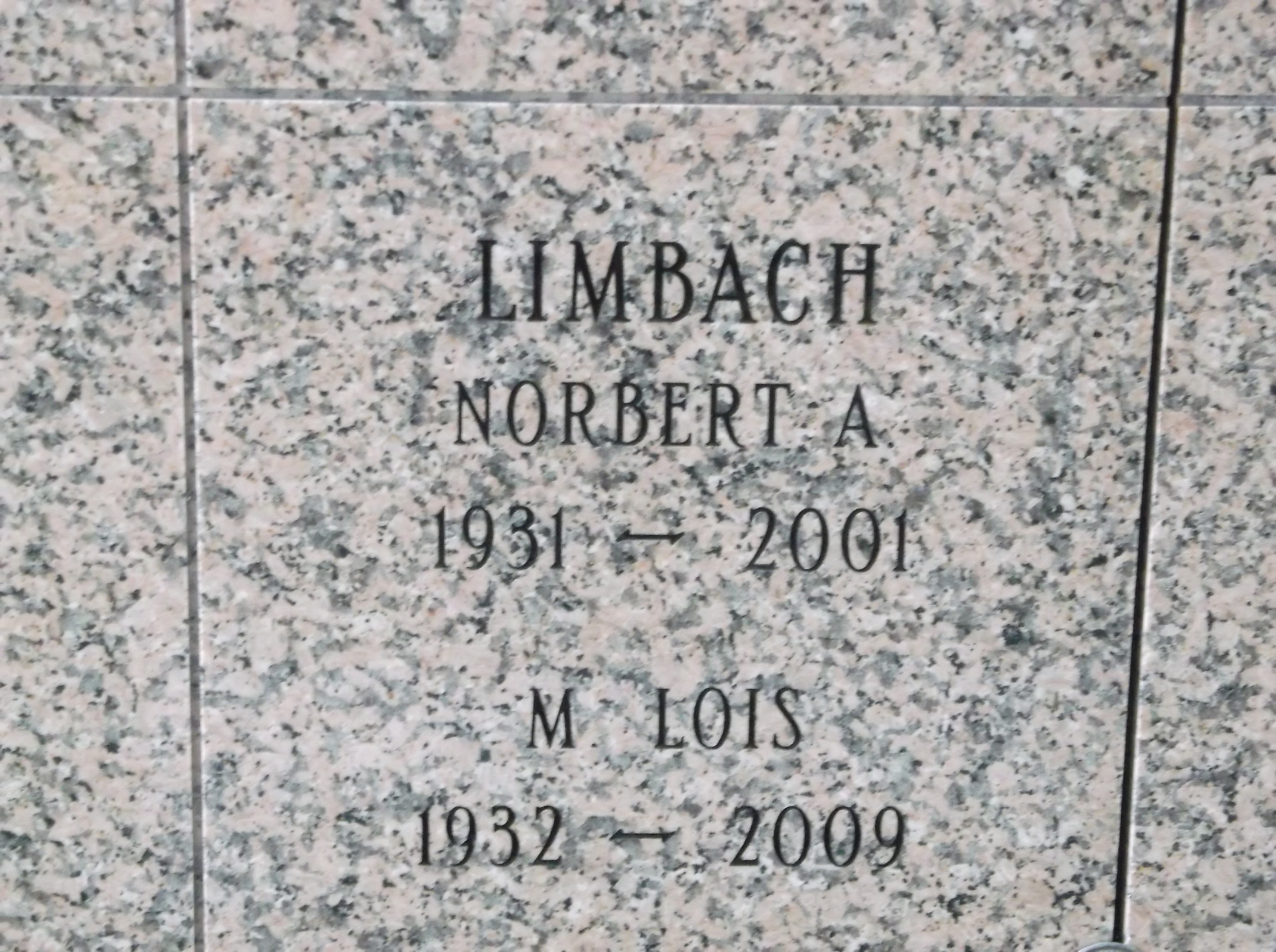 Norbert A Limbach