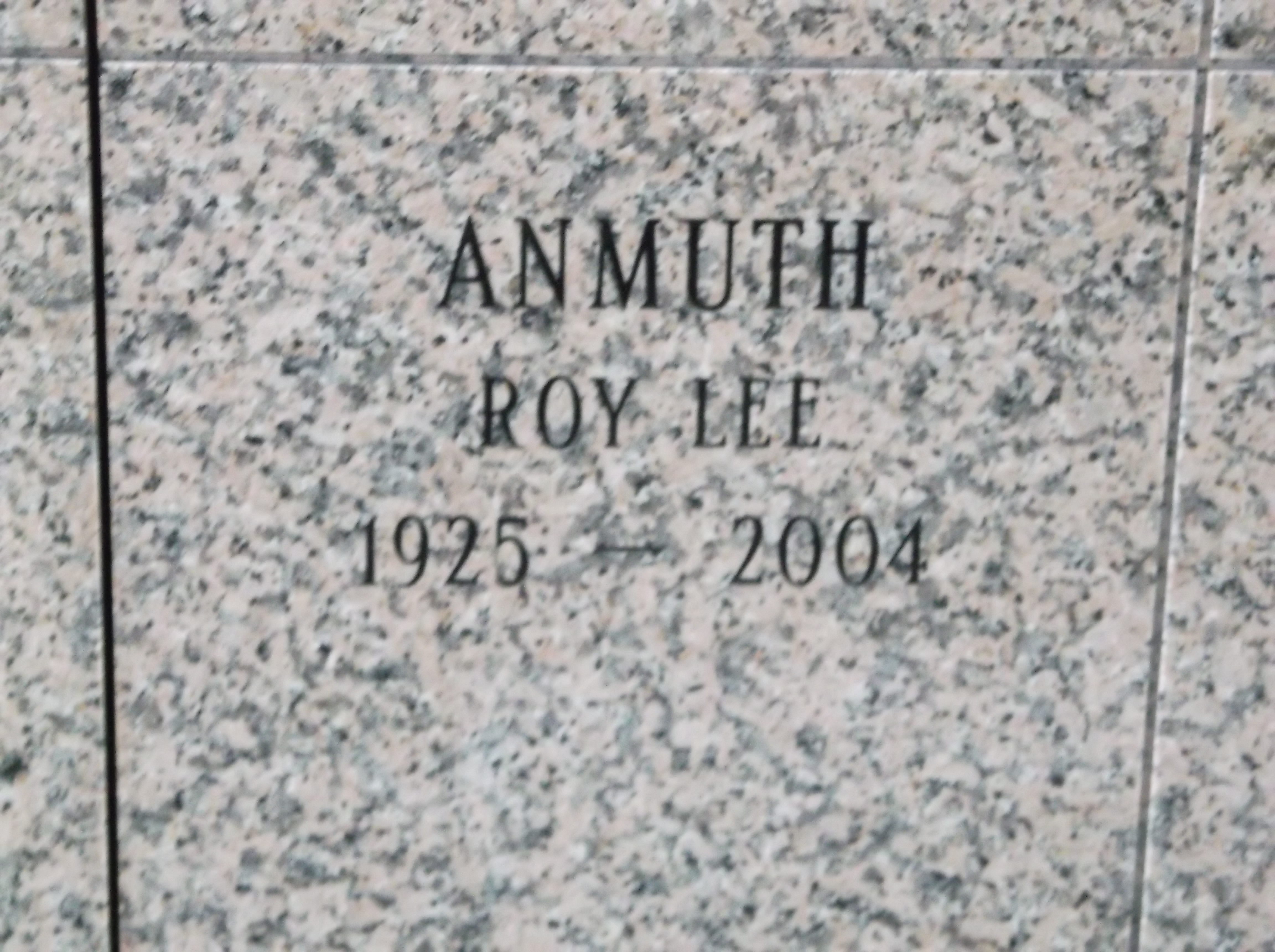 Roy Lee Anmuth