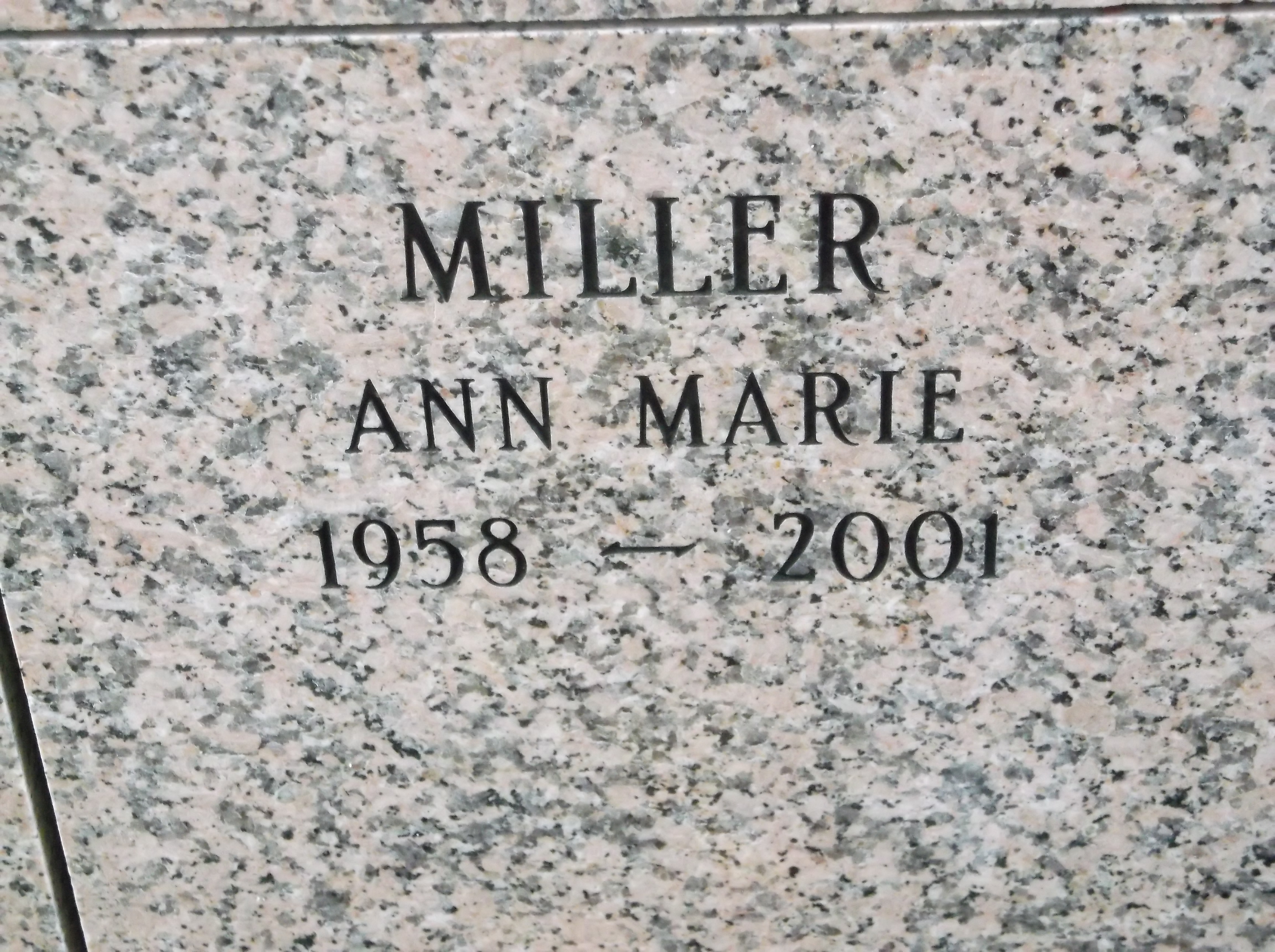 Ann Marie Miller