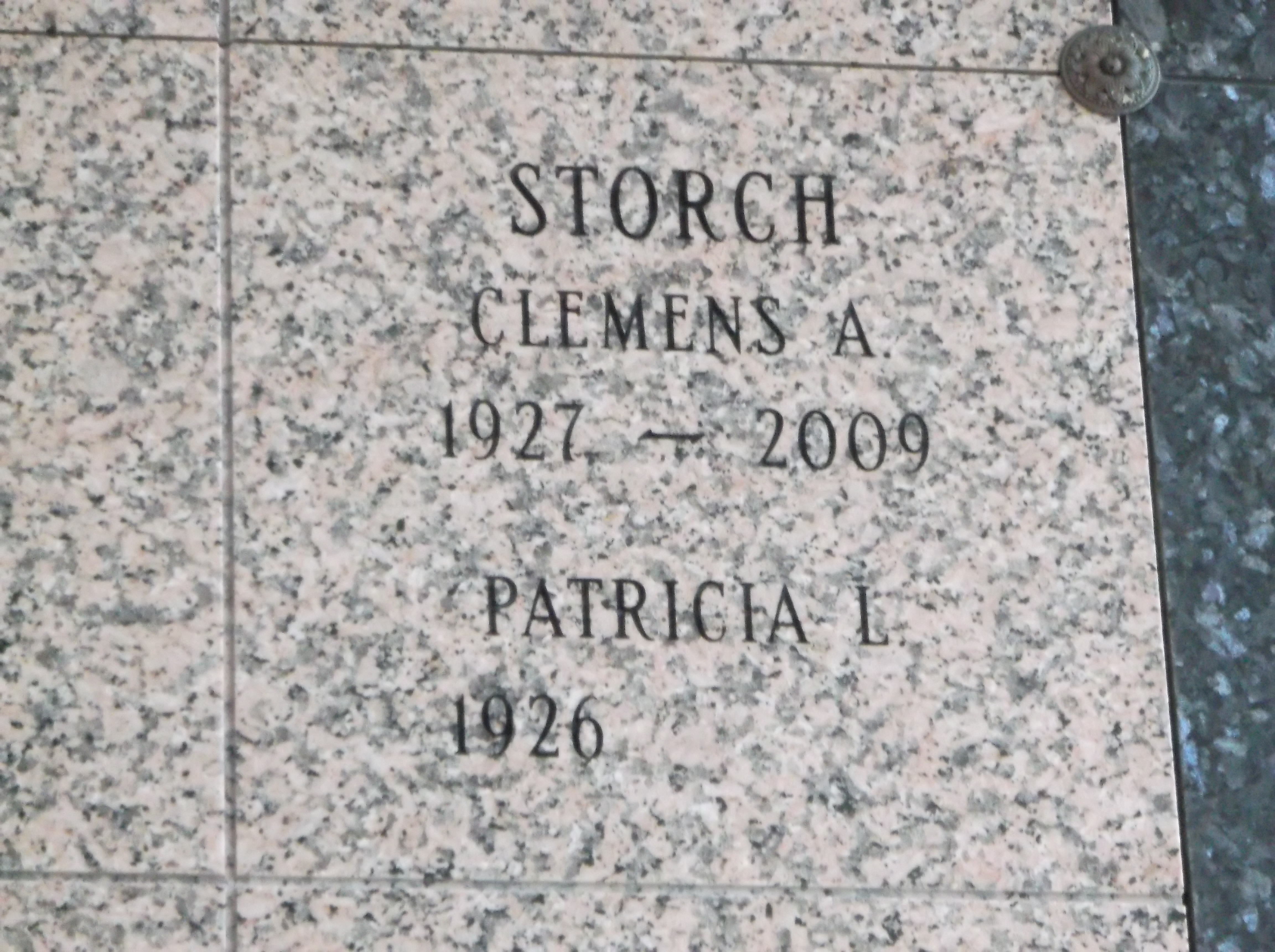 Patricia L Storch