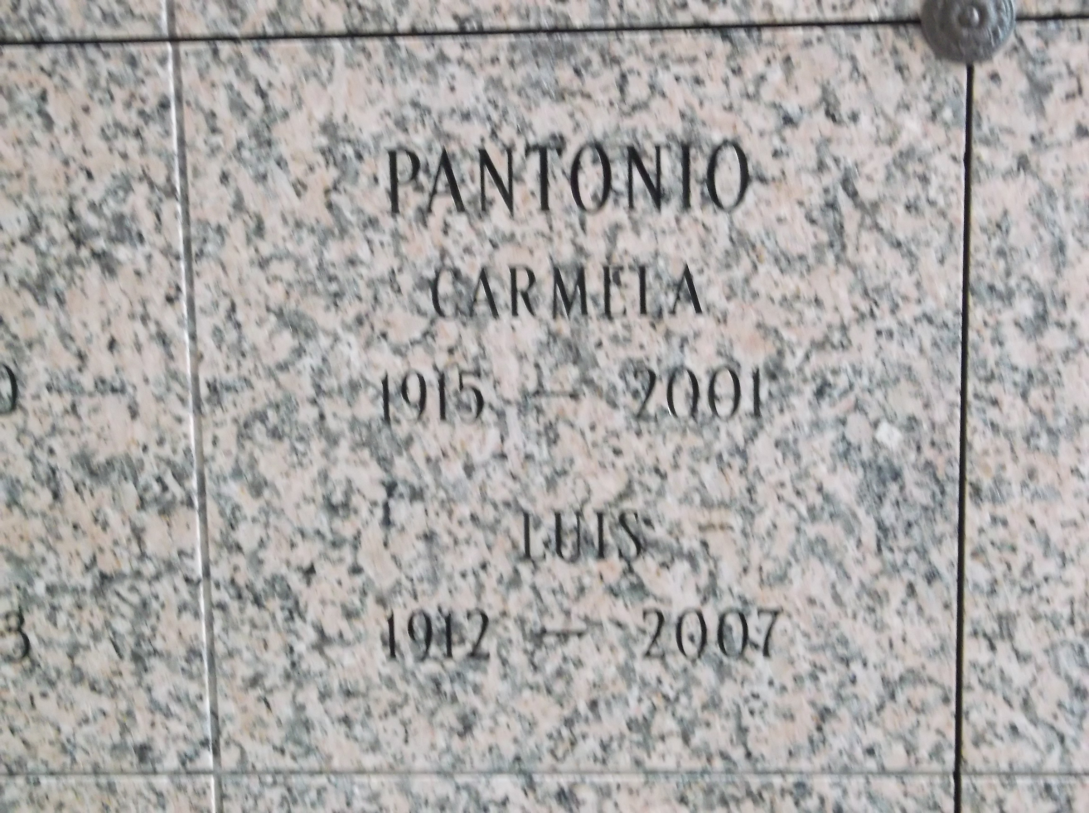 Carmela Pantonio