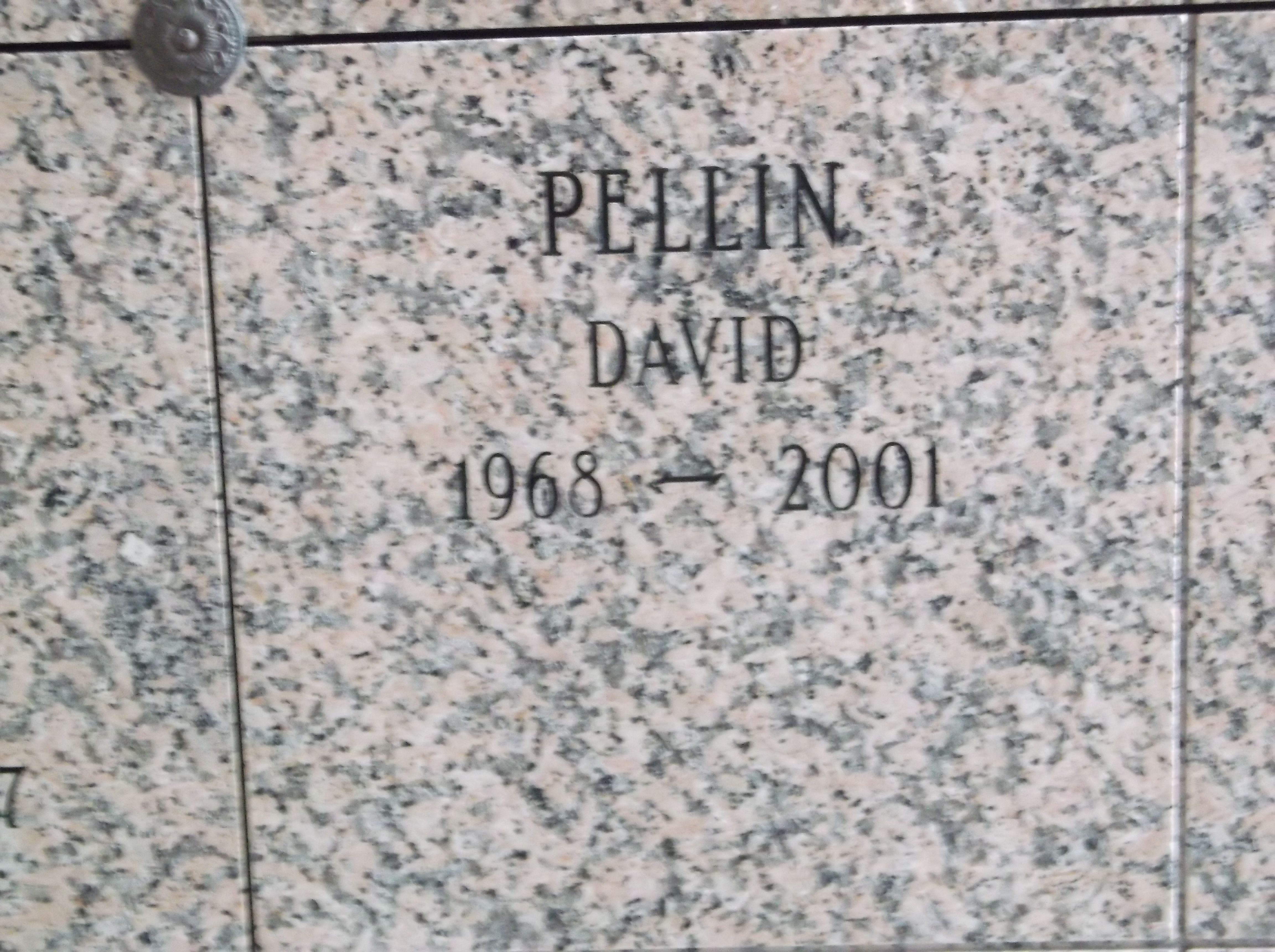 David Pellin