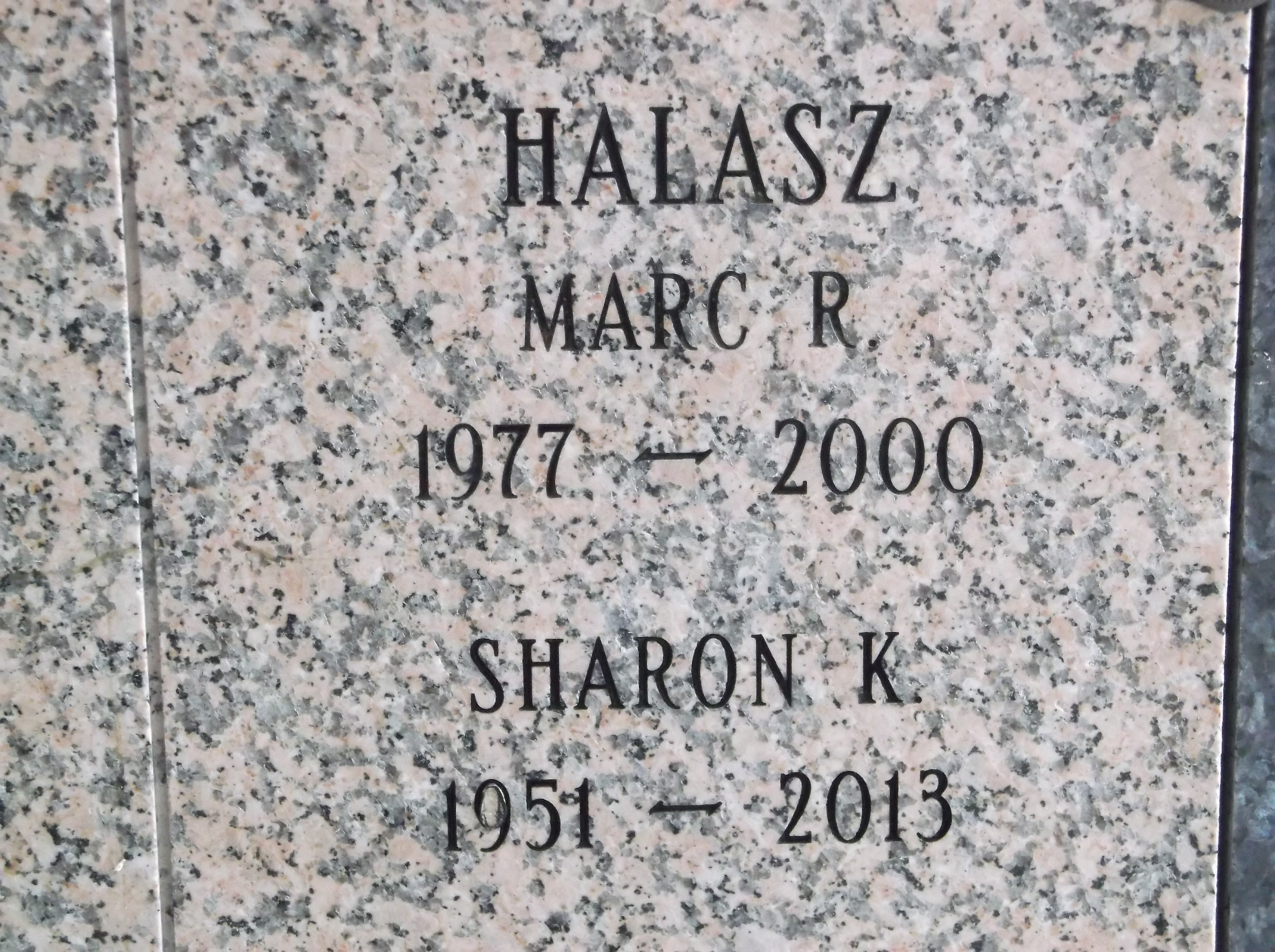 Sharon K Halasz