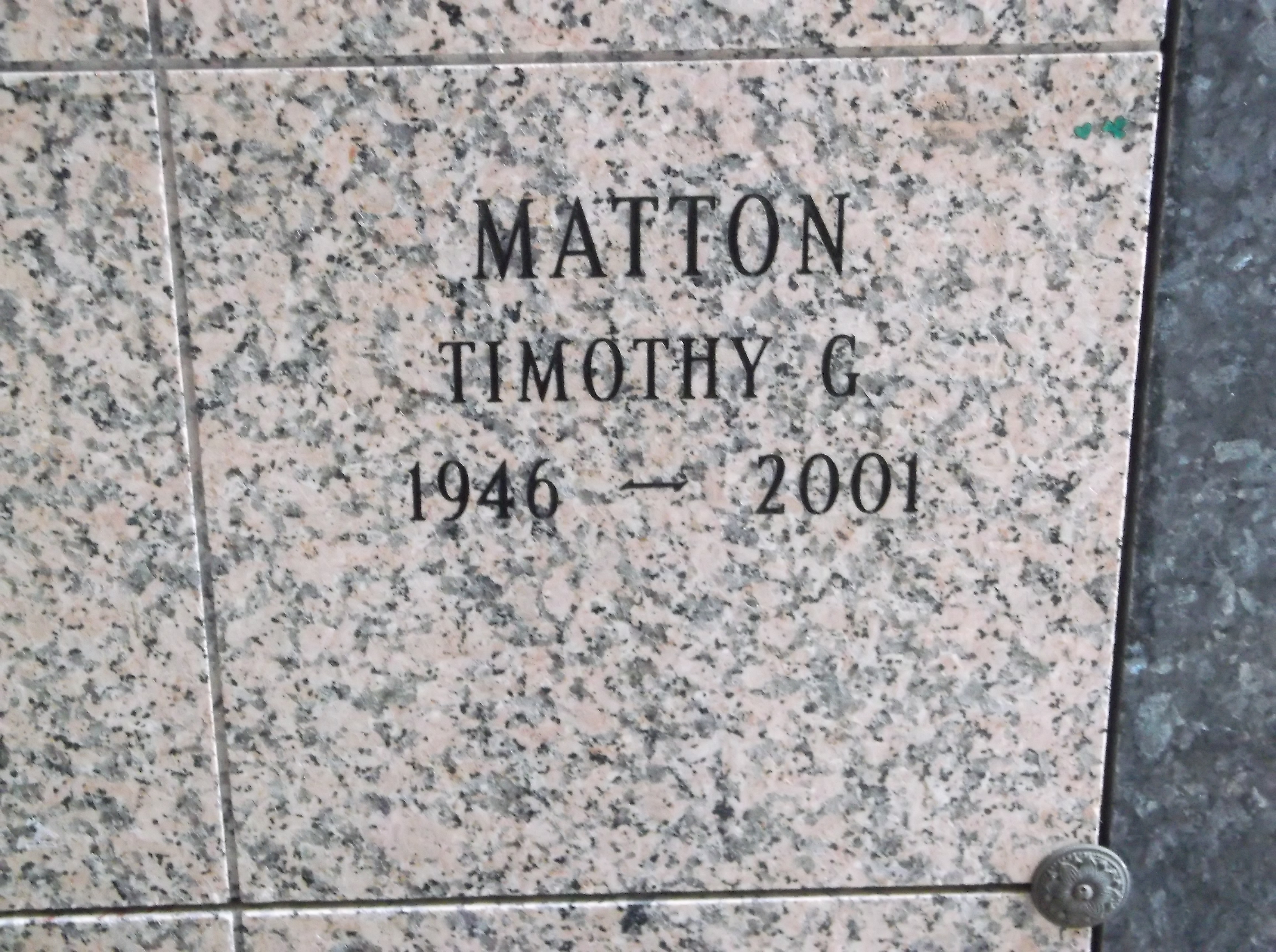Timothy G Matton