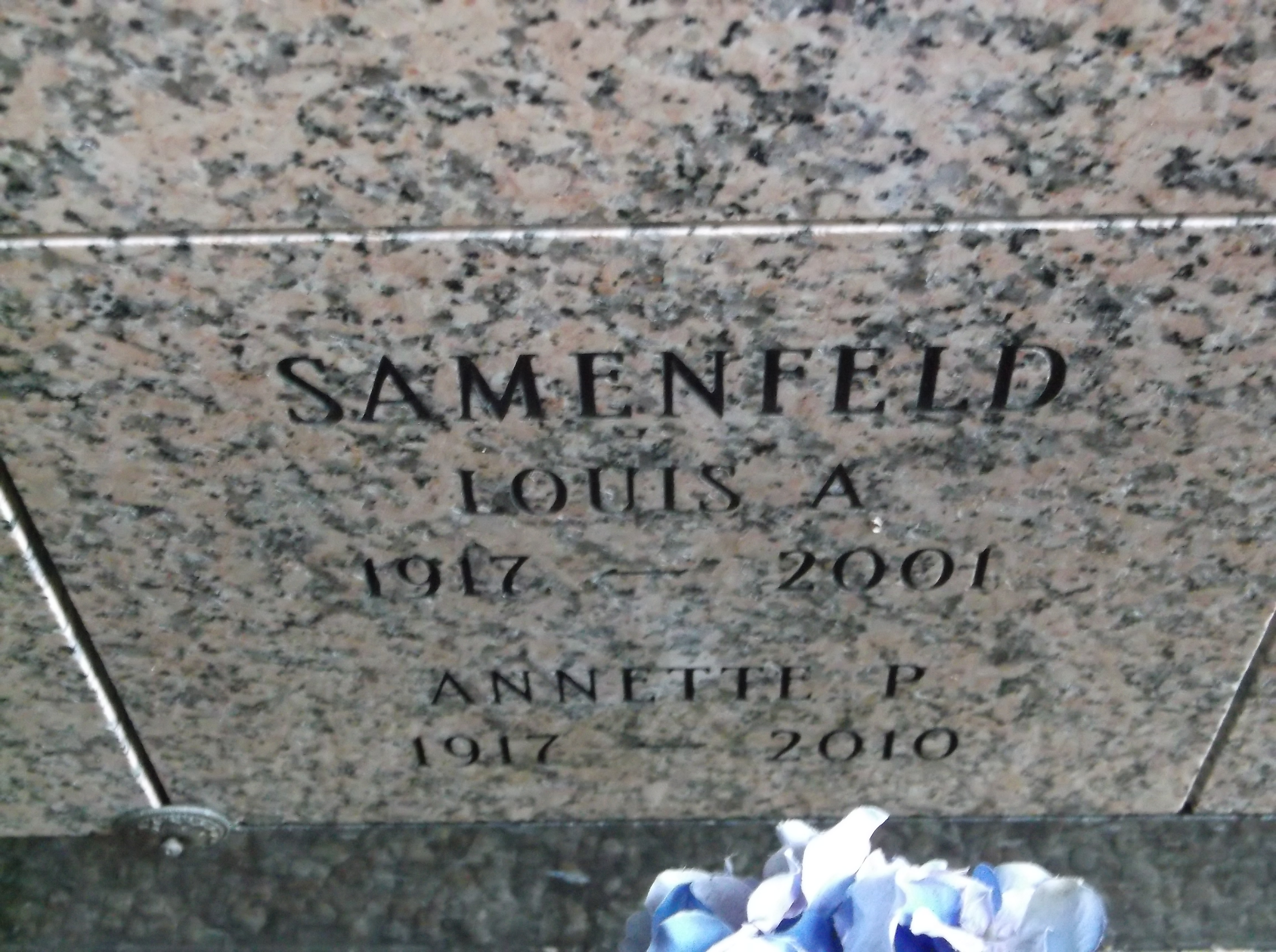 Louis A Samenfeld