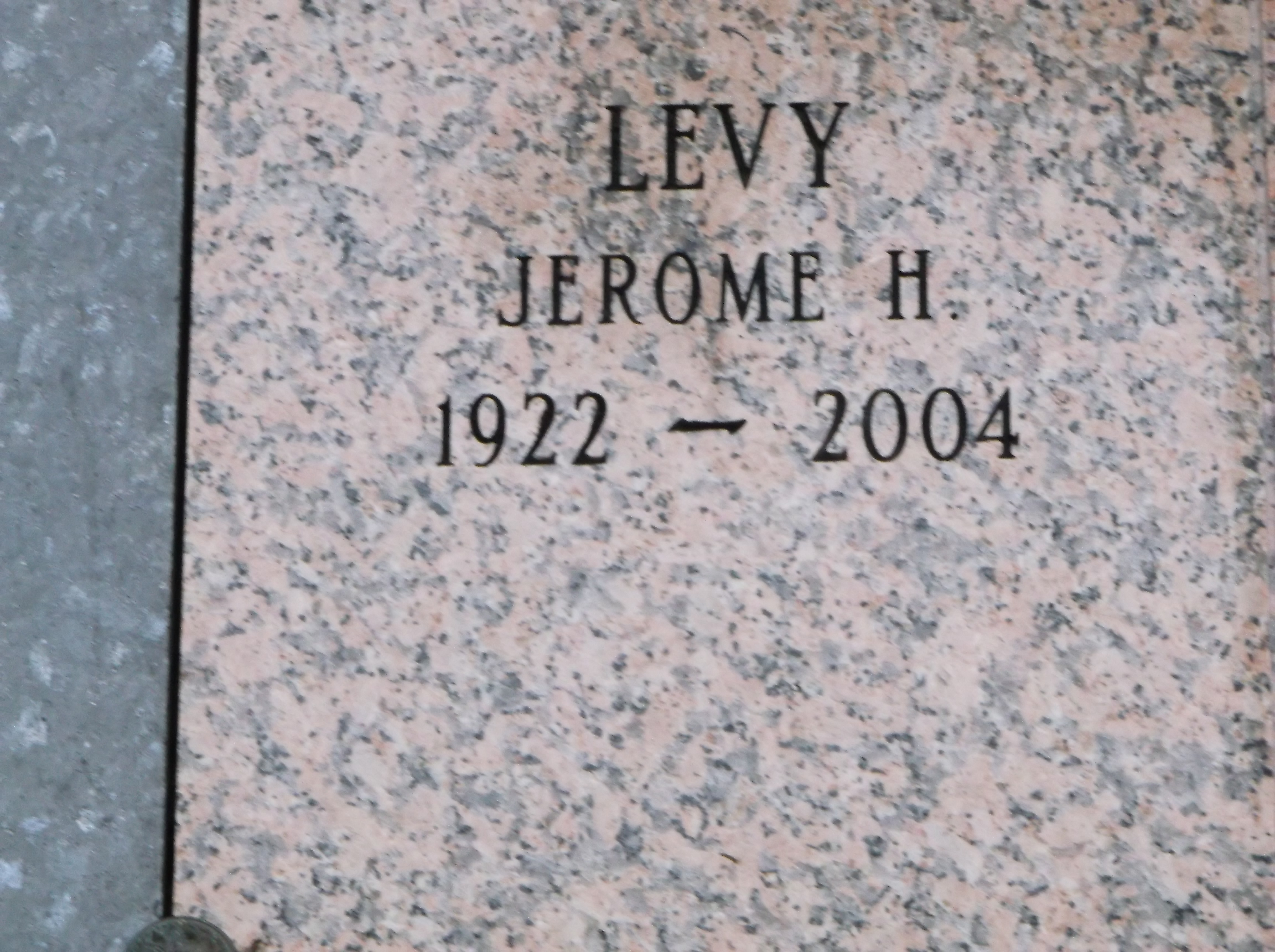 Jerome H Levy