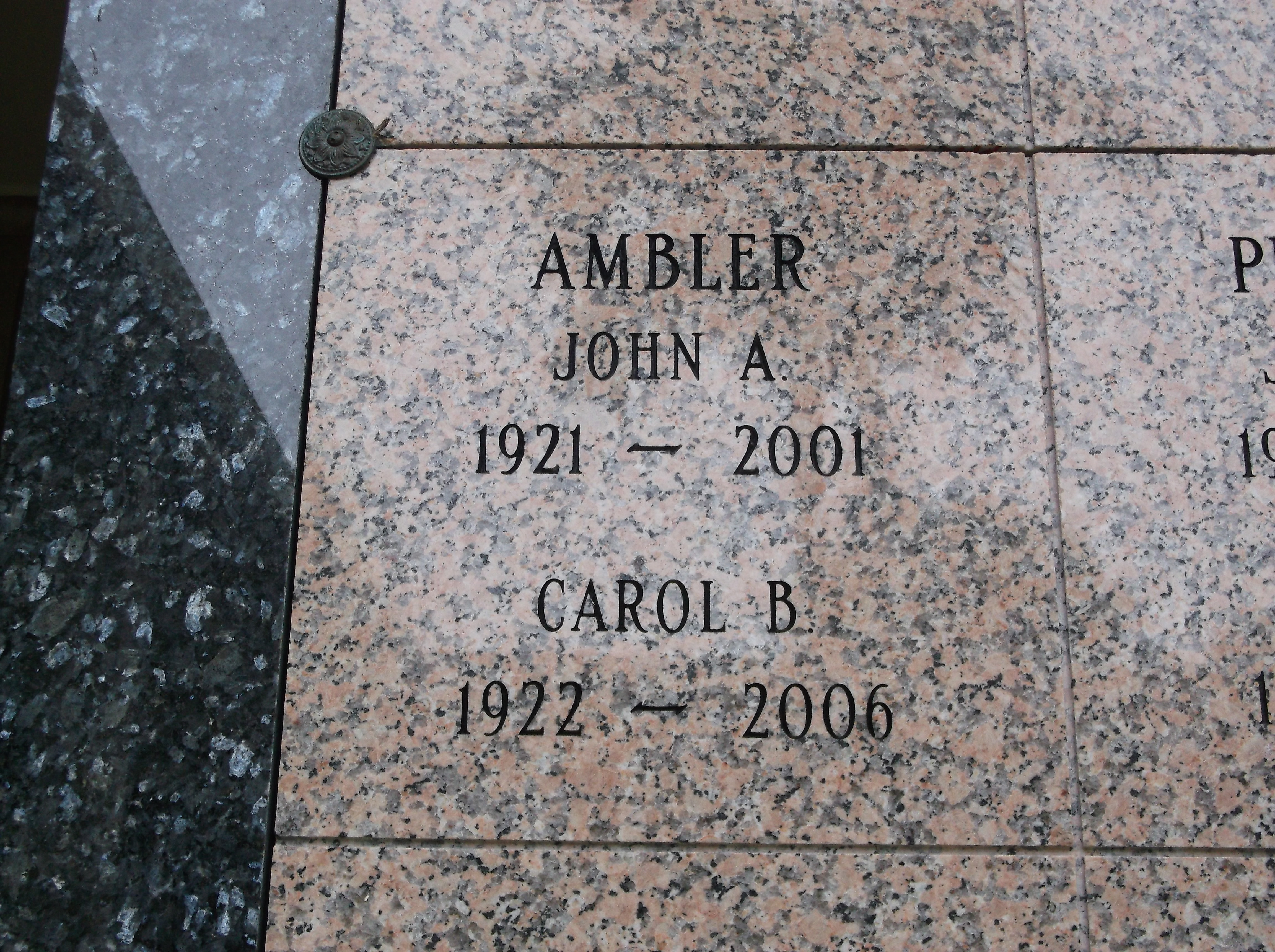 Carol B Ambler