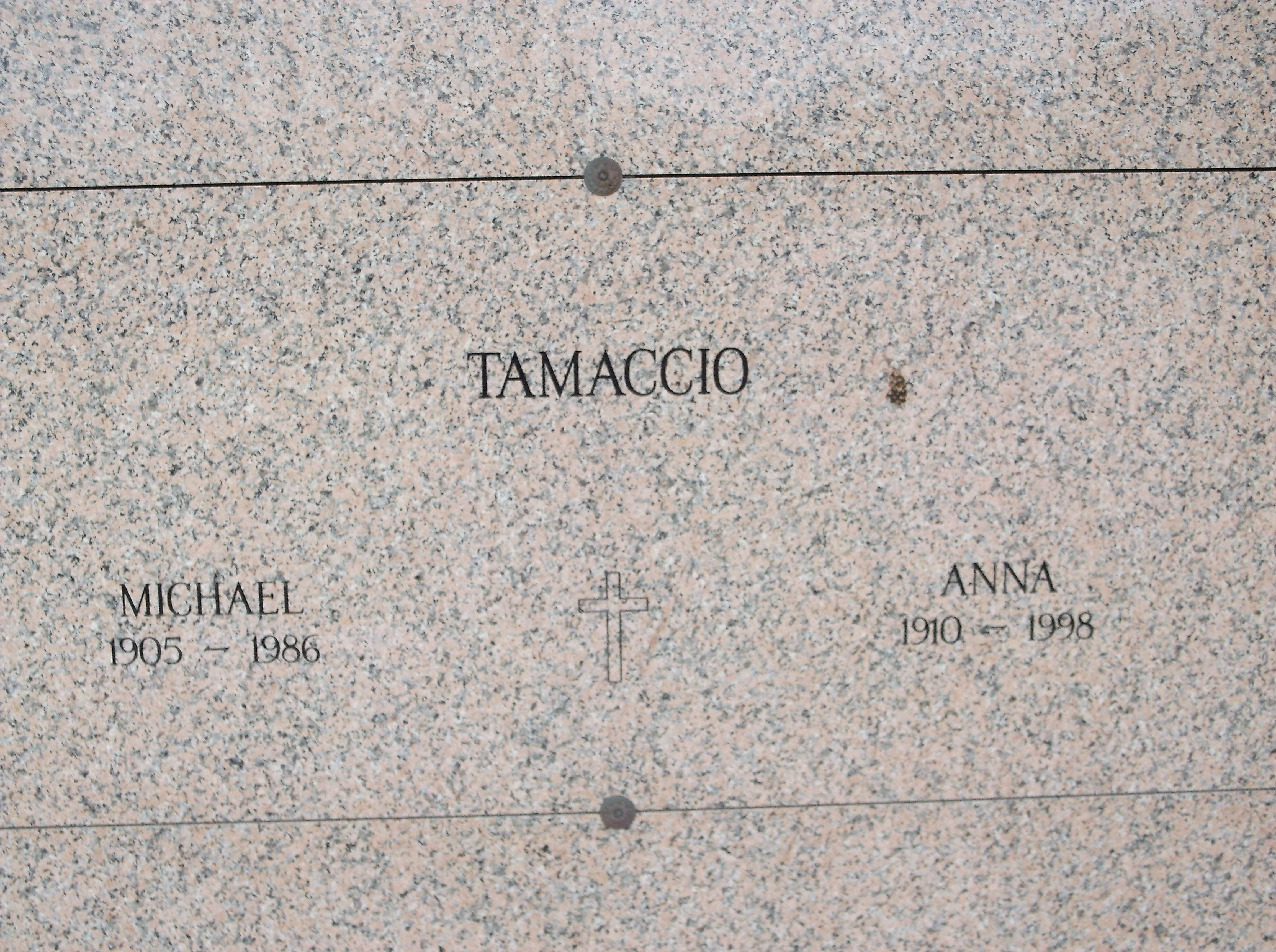 Anna Tamaccio