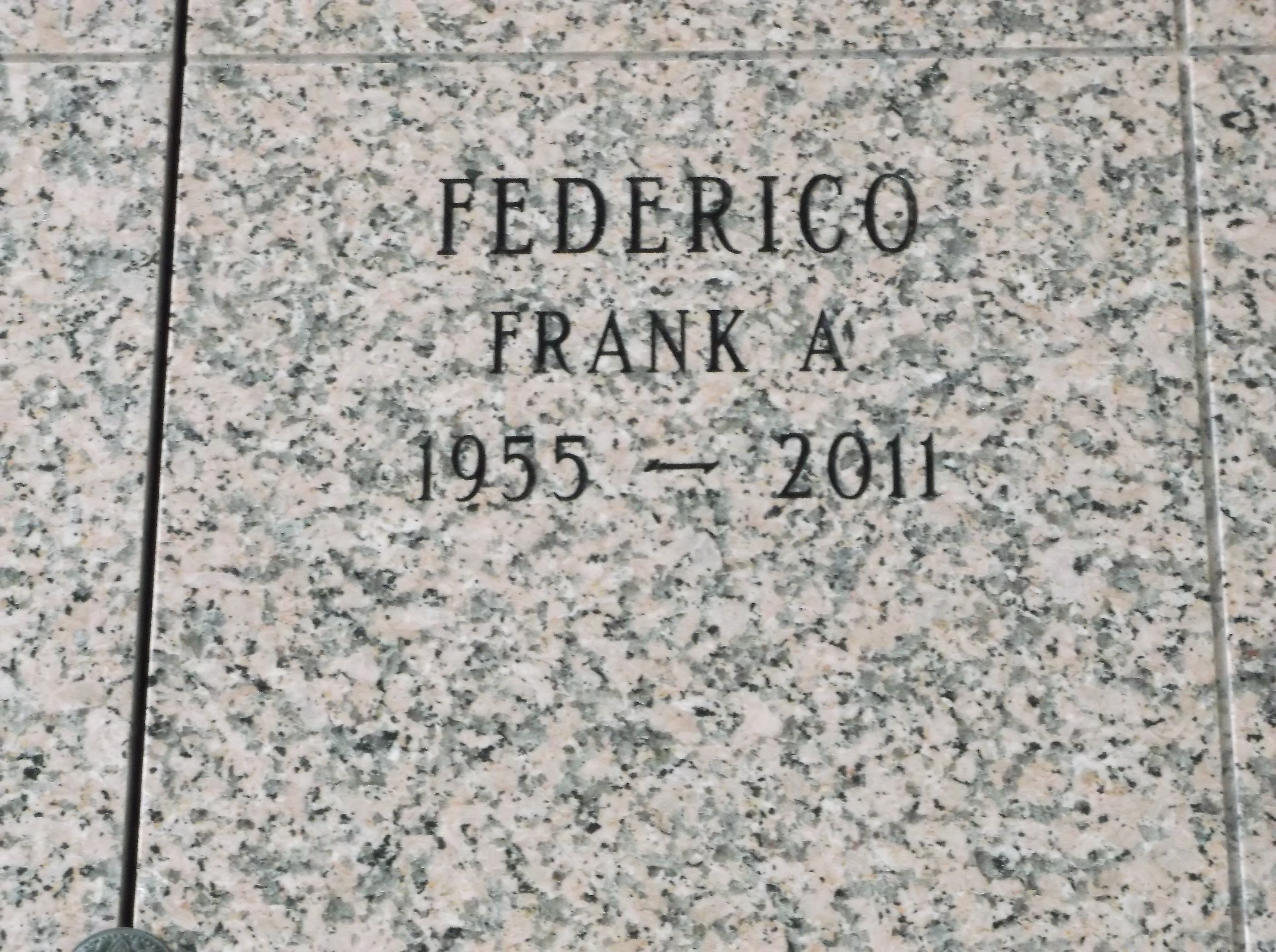 Frank A Federico