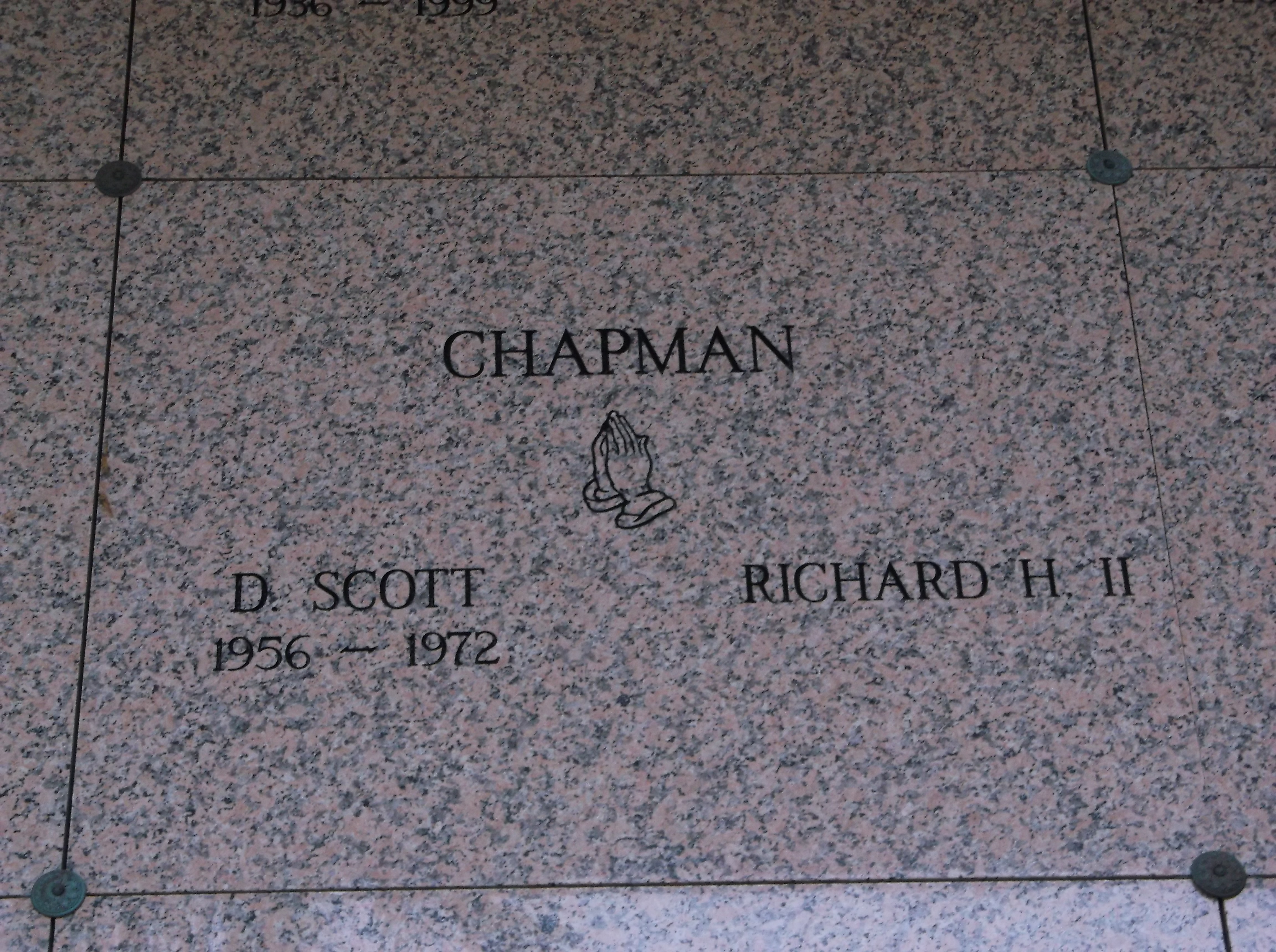 D Scott Chapman