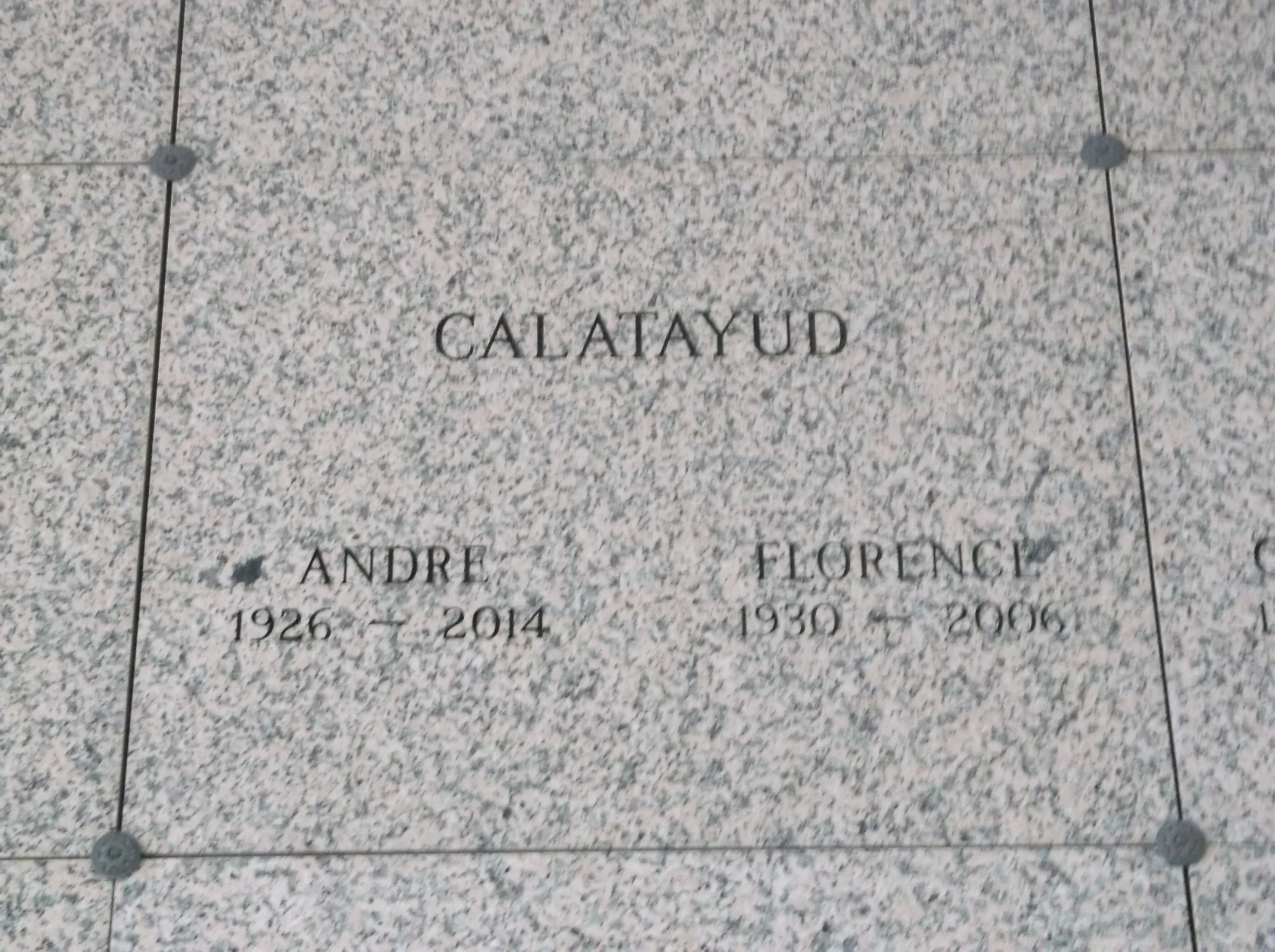 Andre Calatayud