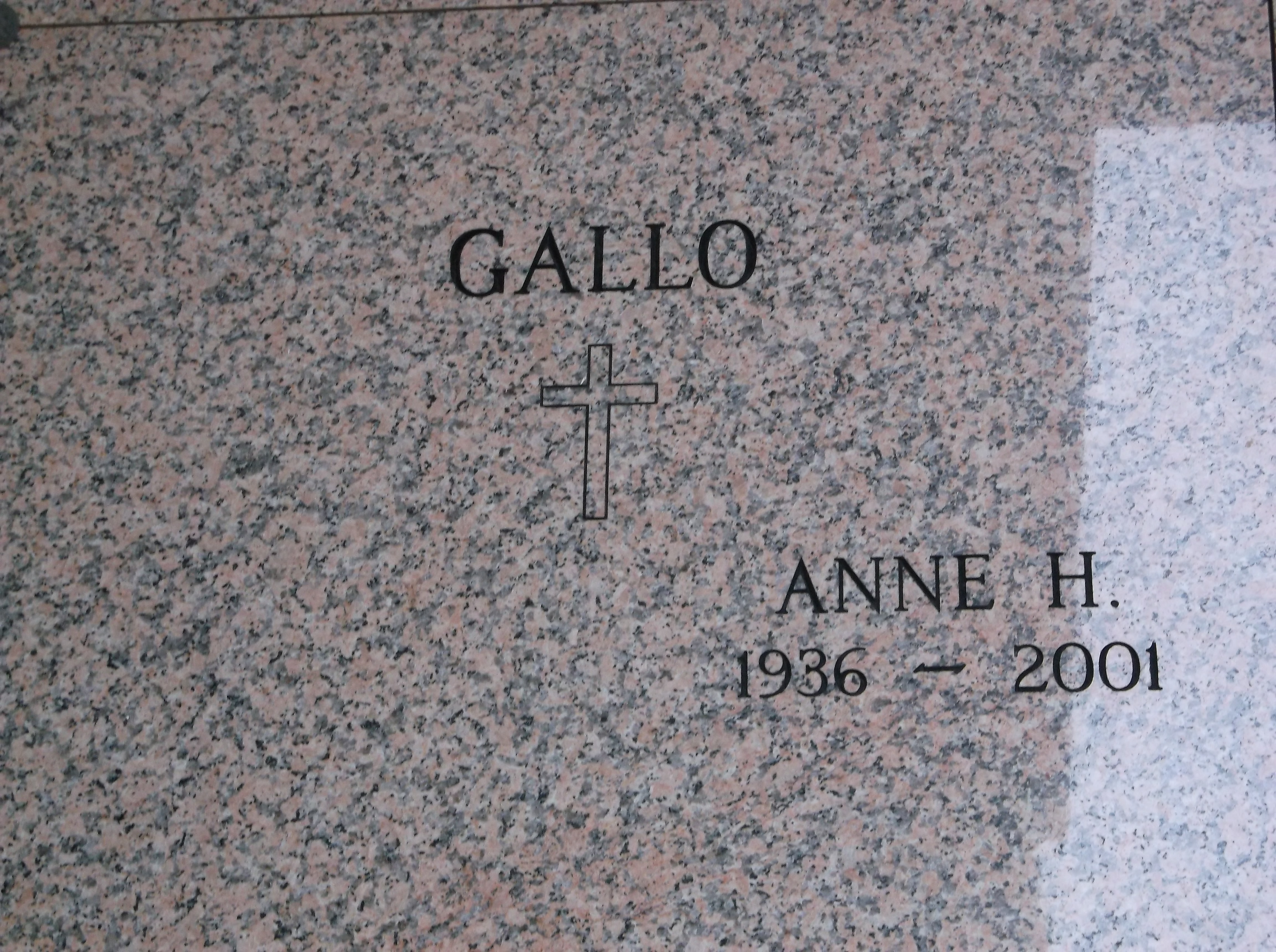 Anne H Gallo