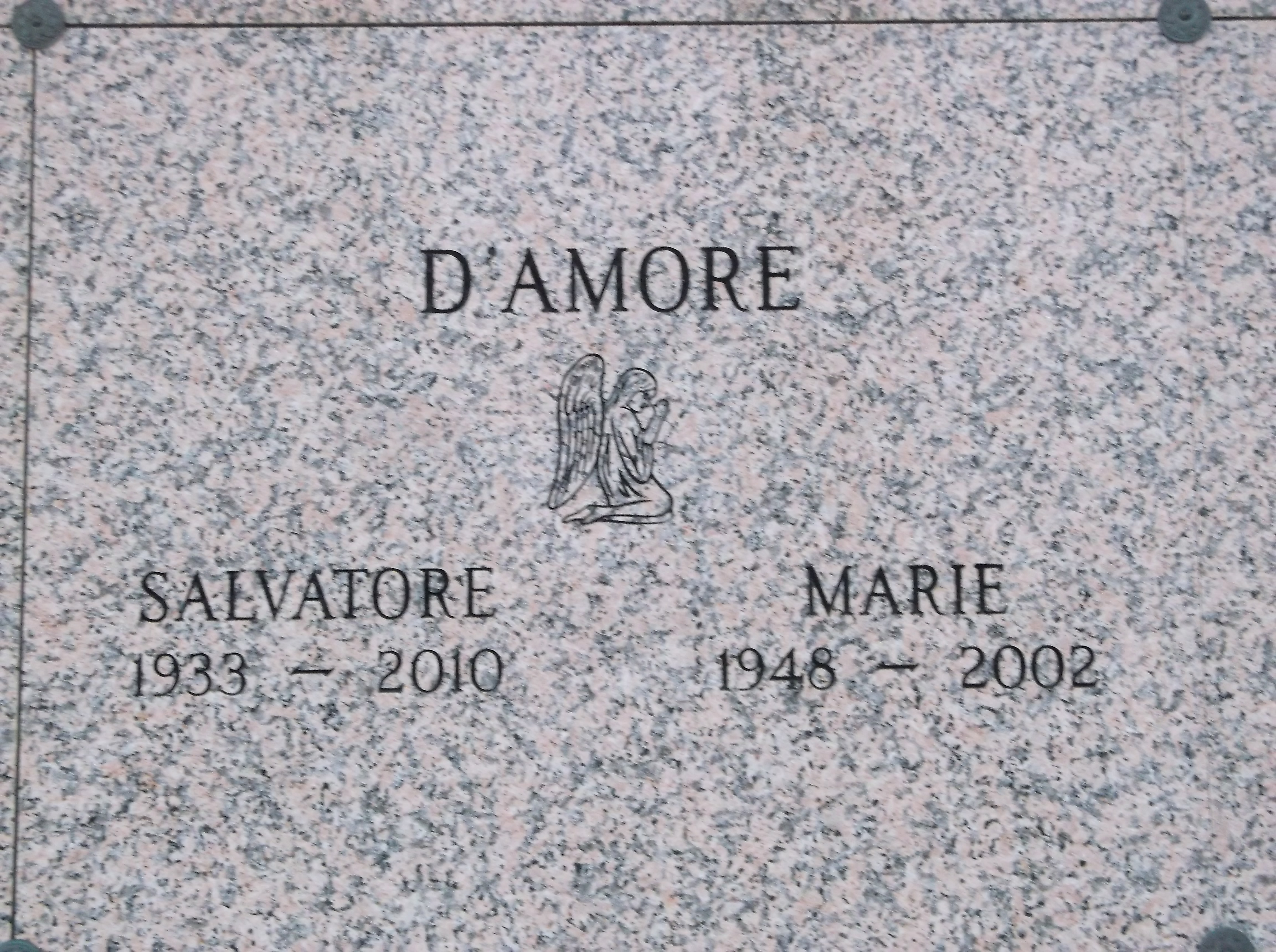 Salvatore D'Amore