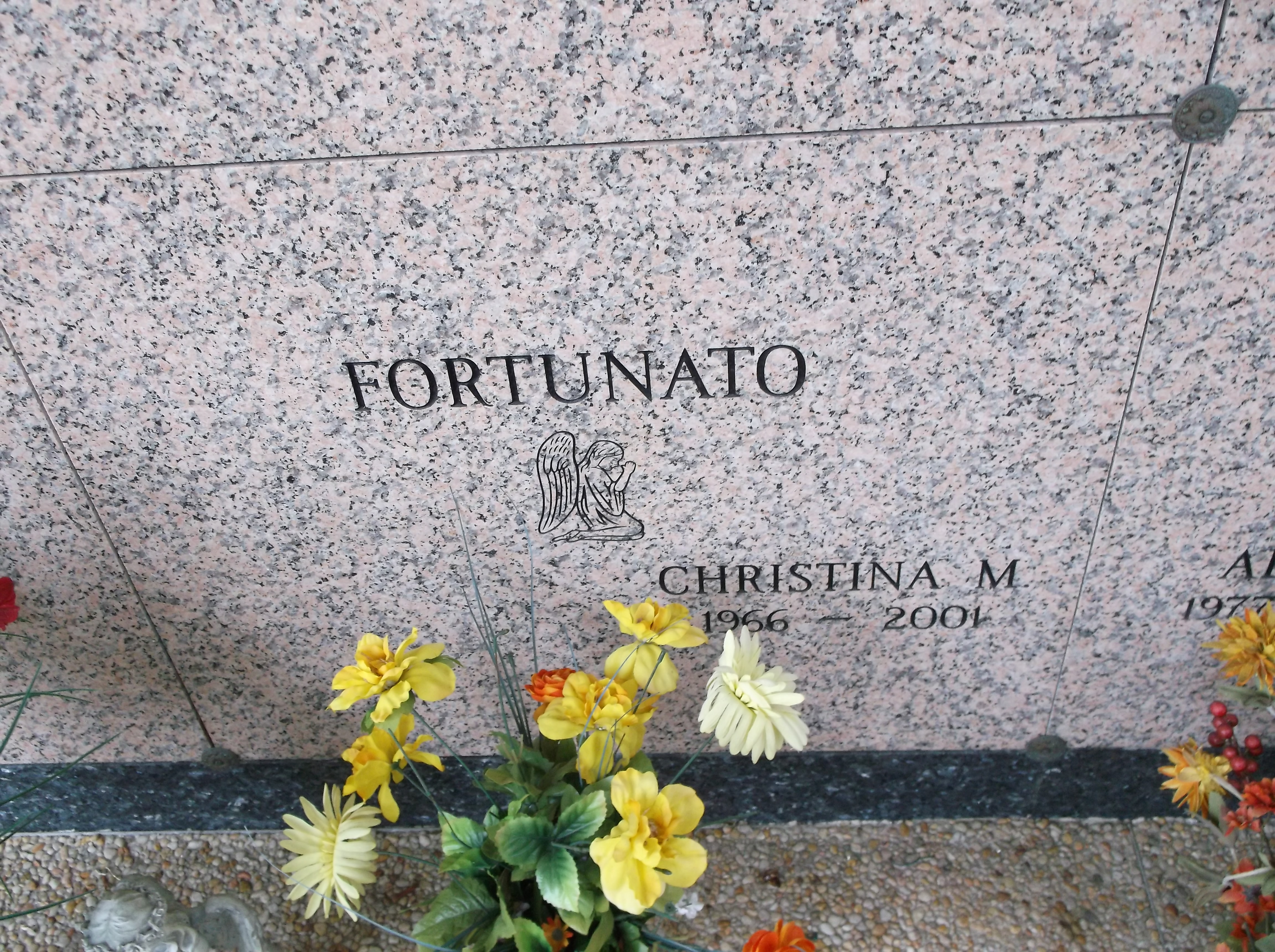 Christina M Fortunato