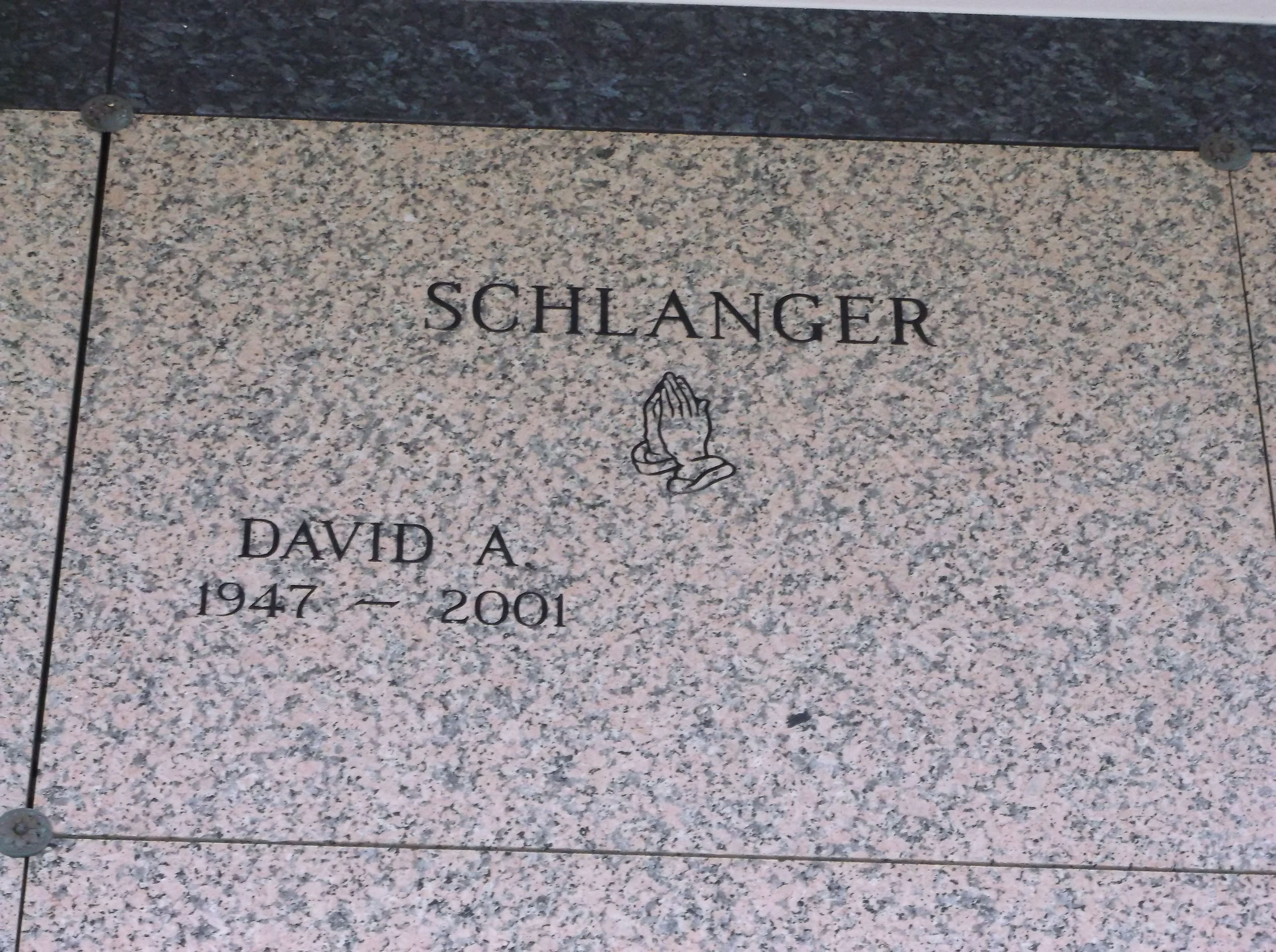 David A Schlanger