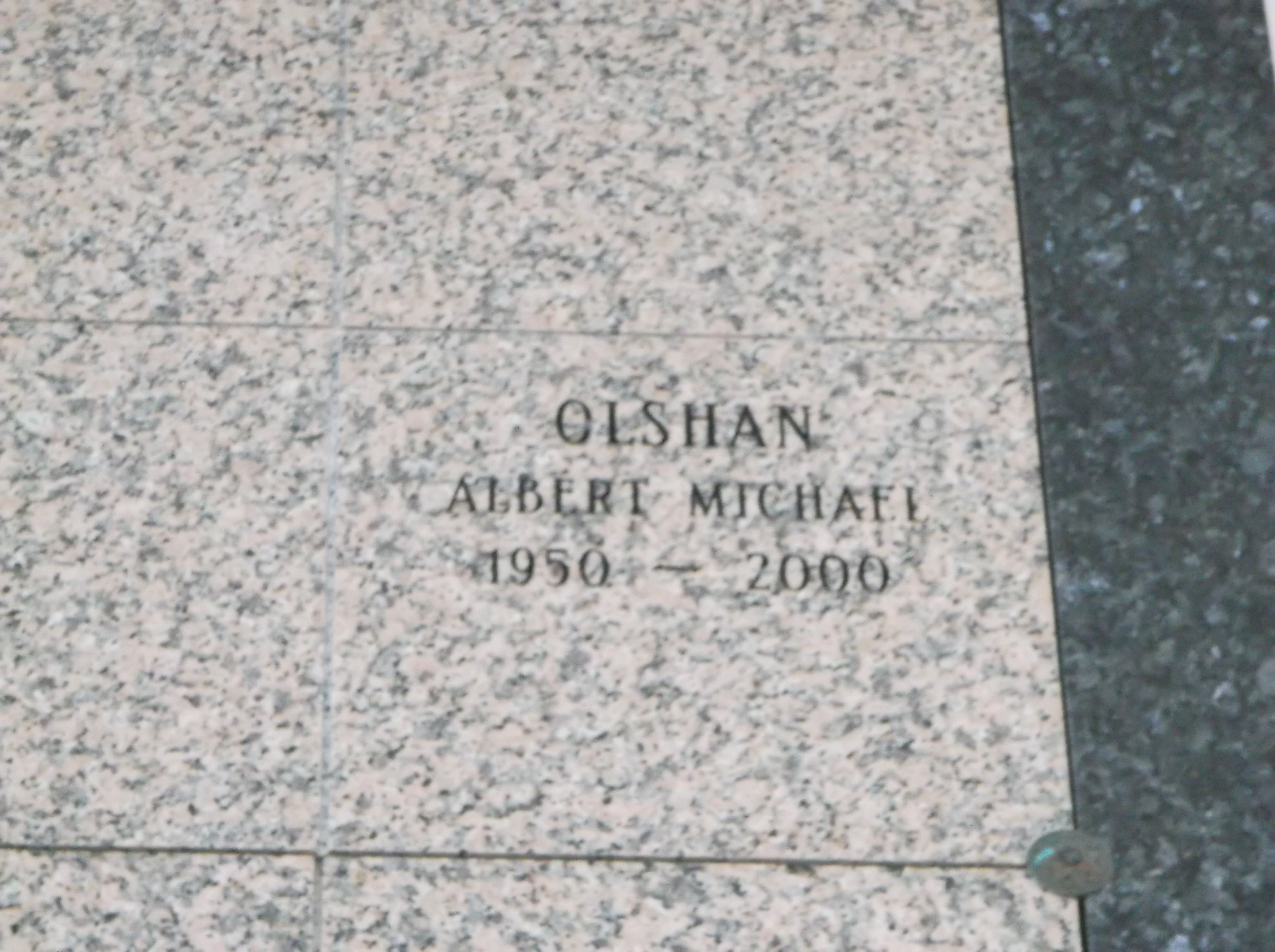 Albert Michael Olshan