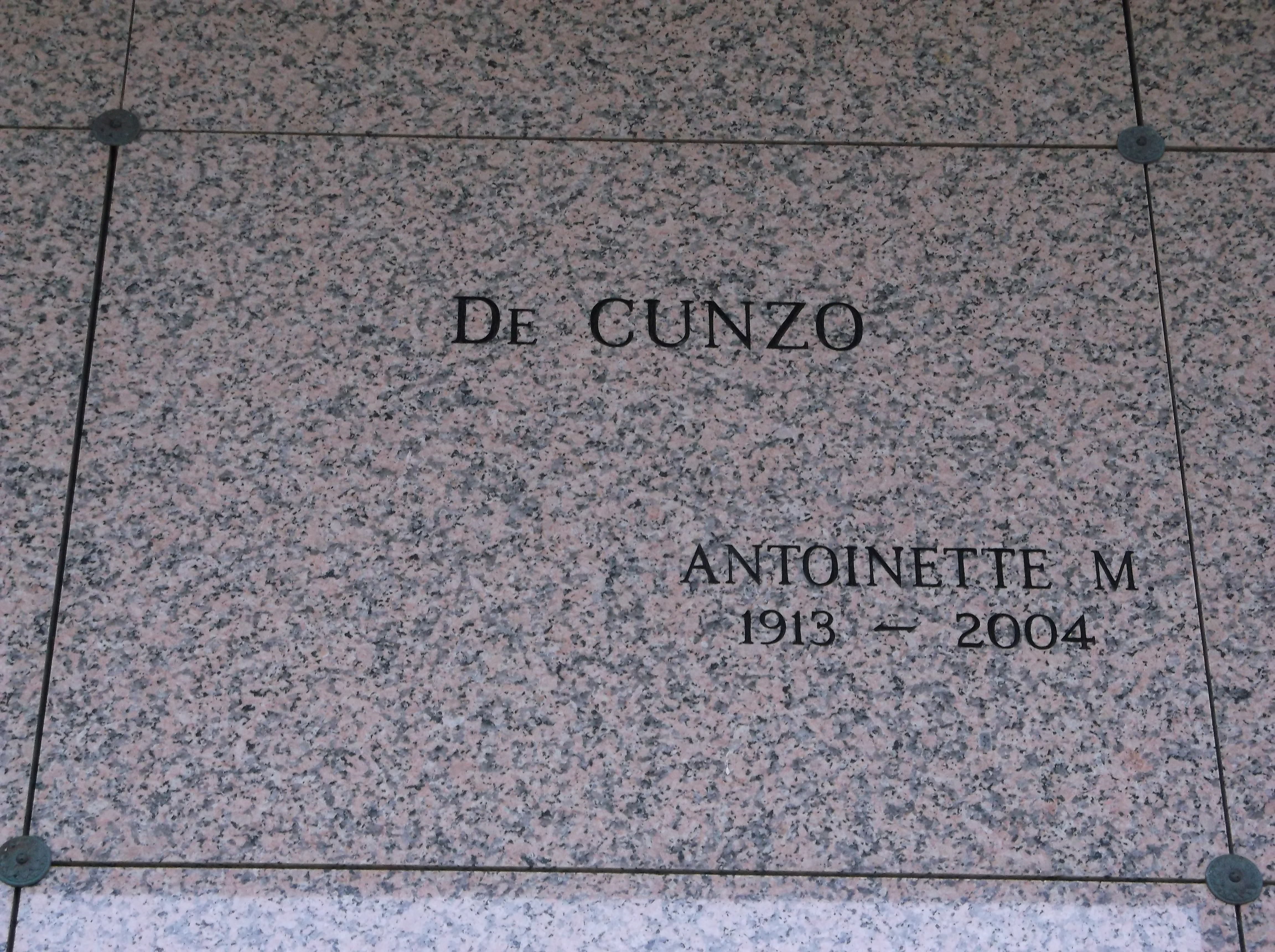 Antoinette M De Cunzo