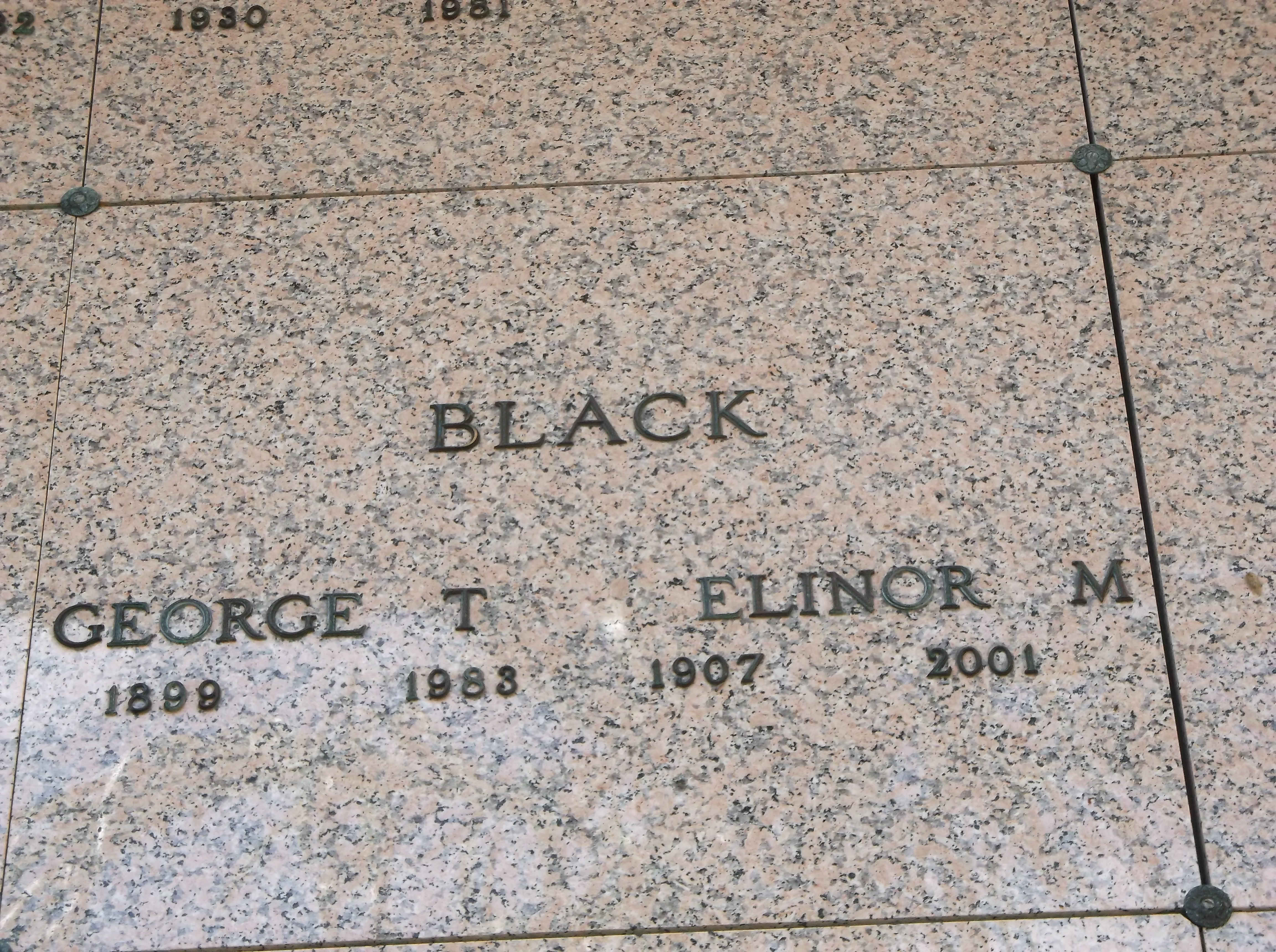 Elinor M Black