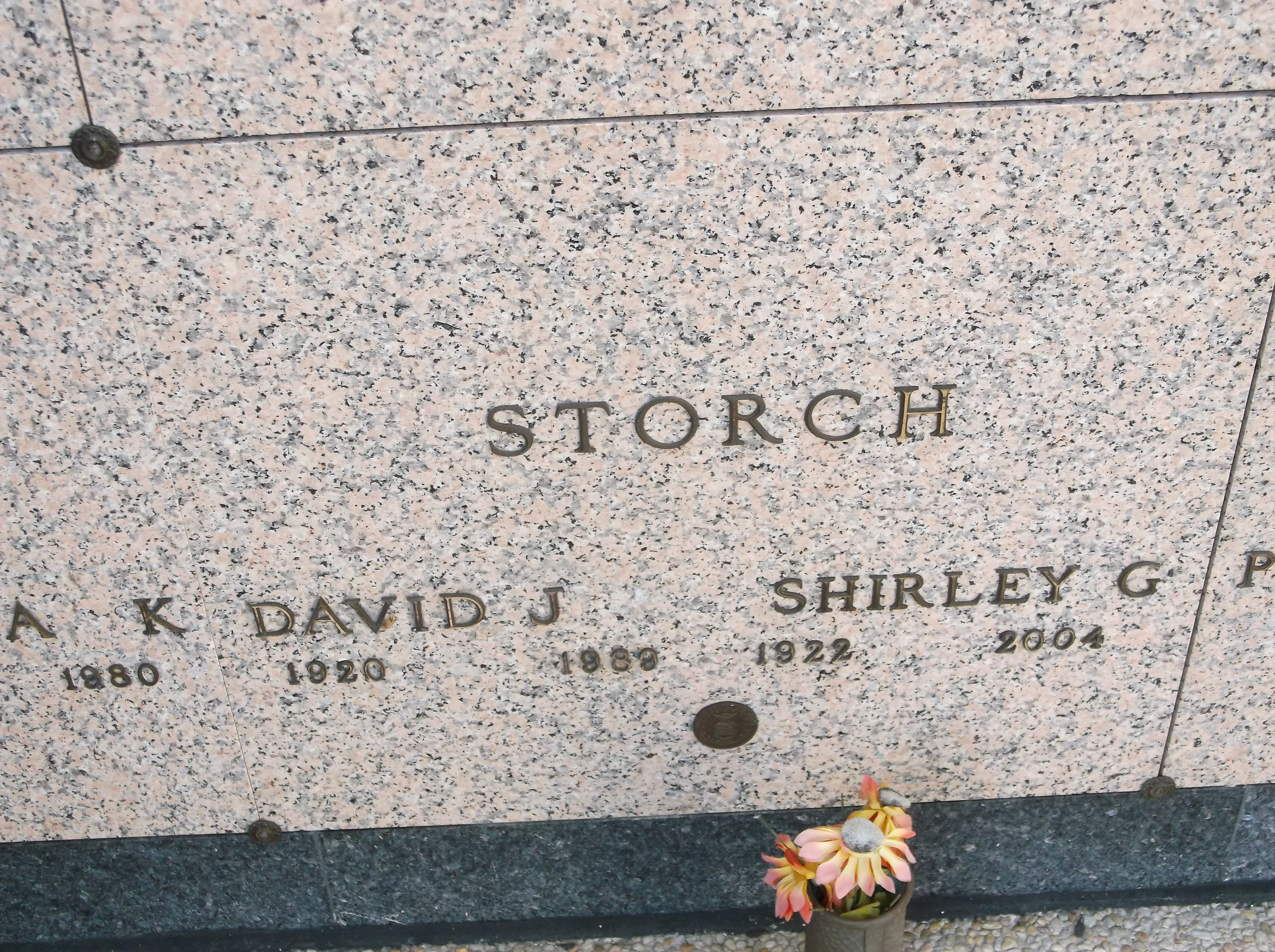 David J Storch